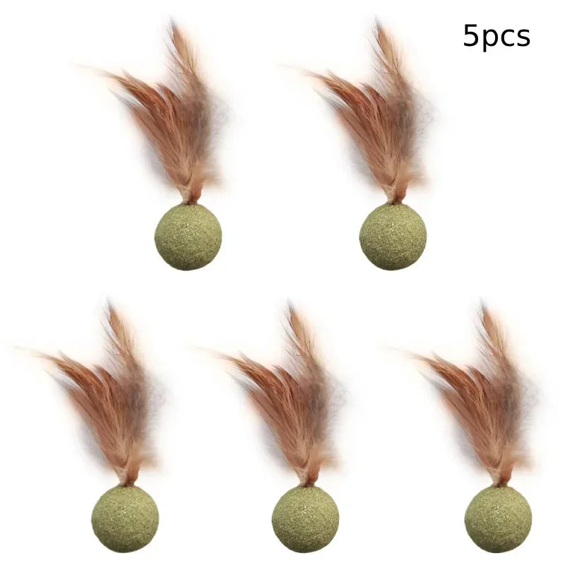 Pet Catnip Toys Edible Catnip Ball Healthy Cat Mint Cats Household Chasing Game Toy Products Cleaning Teeth Pet Toy Supplies