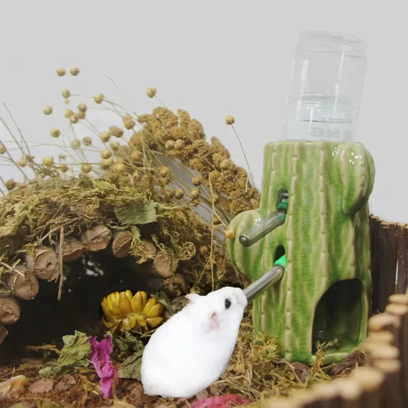 Hamster house for rats small pet items ceramic cactus cage for hedgehog hamster cage for a rabbit pet products chinchilla