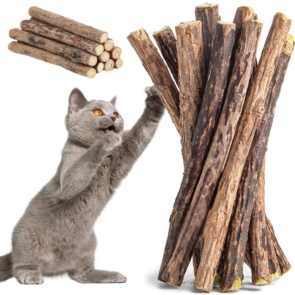 Natural Matatabi Cat Catnip Toy Kitten Molar Chew Stick Pet Cleaning Teeth Cat Treat Toy Actinidia Silvervine Pet Products