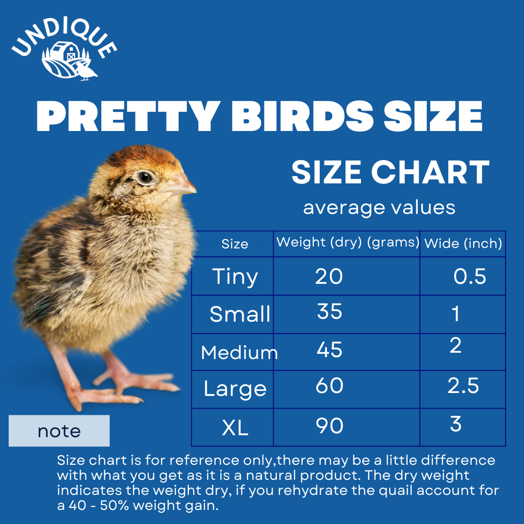 Whole Quail for Carnivore Pets - Premium Quality Natural Pet Treats Quail - Natural Prey Feeding Quail - Freeze-Dried for Essential Nutrients and Enzymes Small Size 5 Count