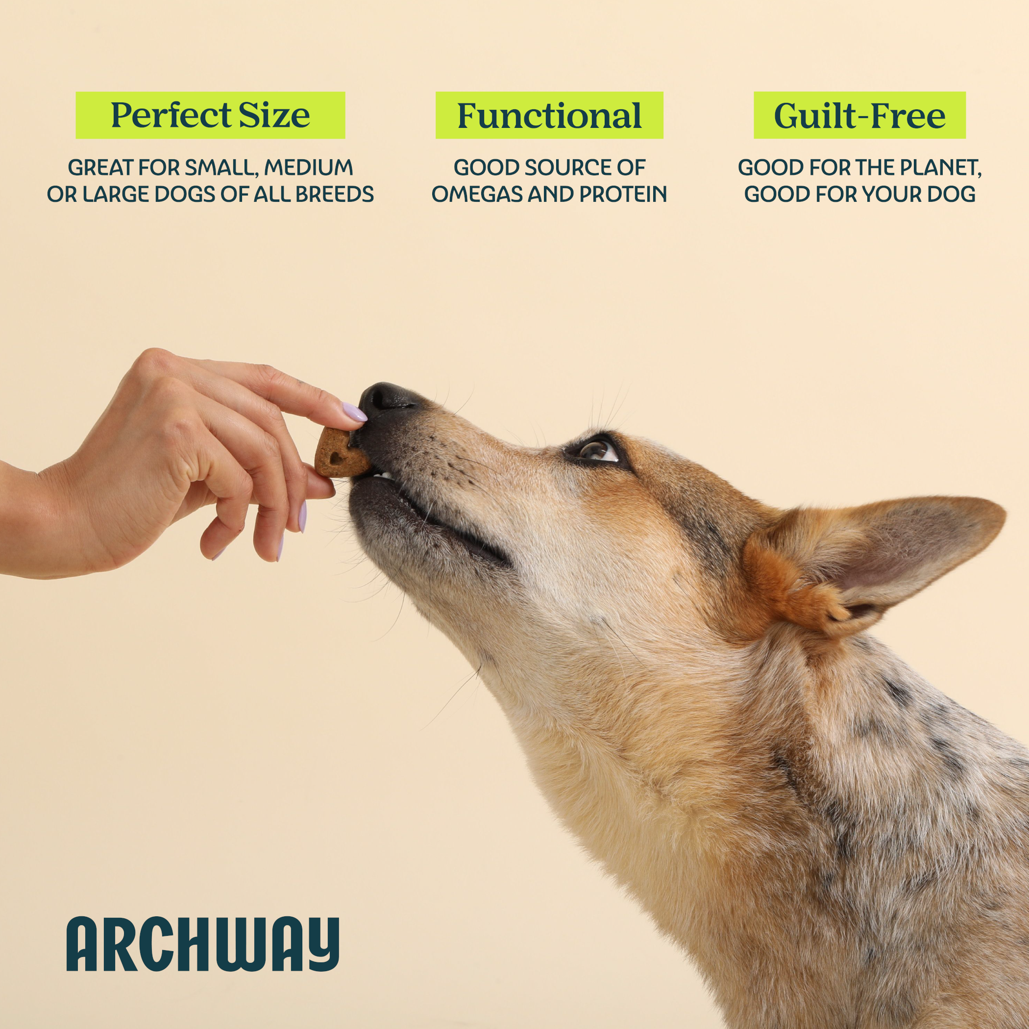 Skin & Coat Health