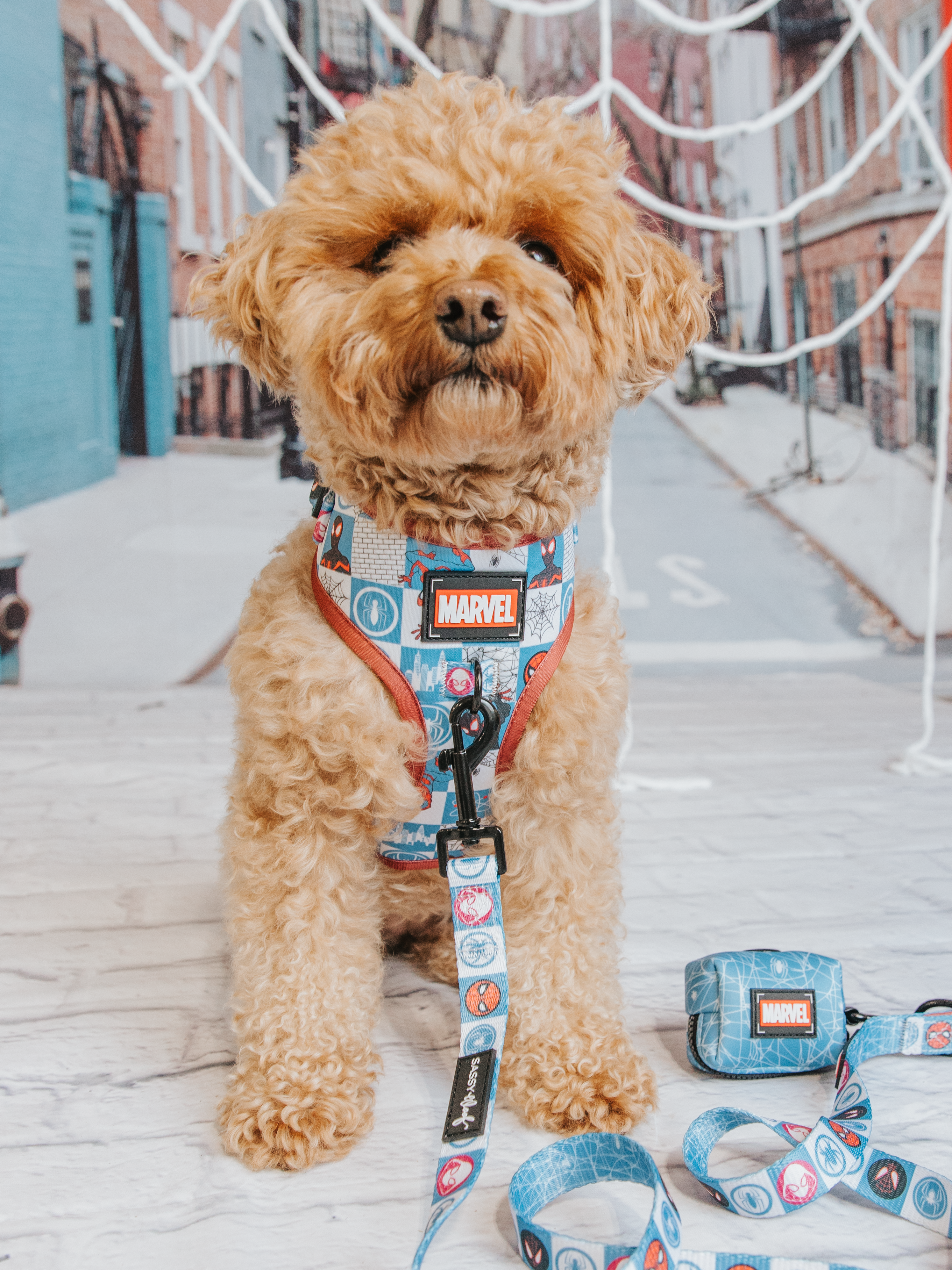 Dog Leash - Marvel’s Spider-Man