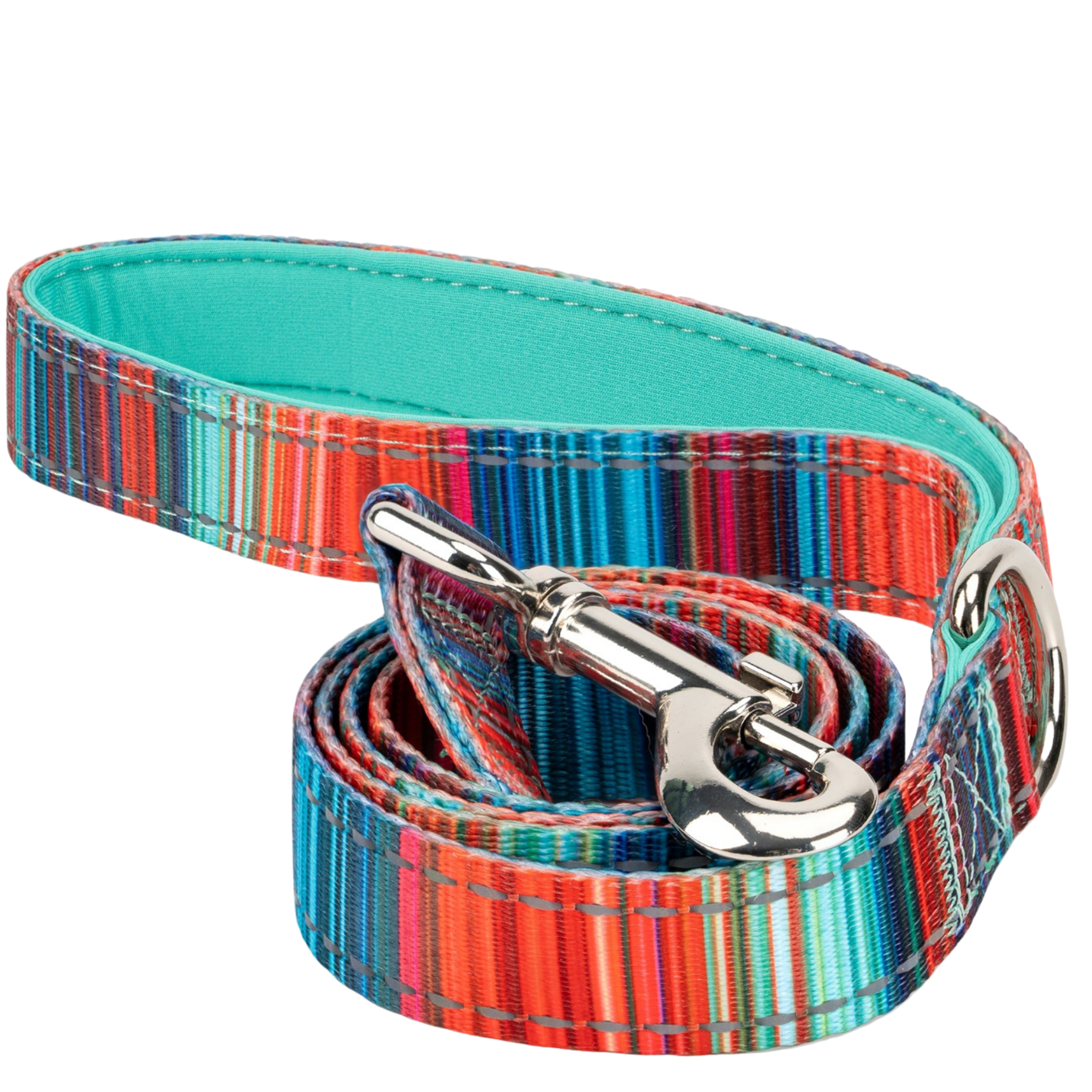 Stripe Dog Leash by EcoBark - Multicolor Padded Comfort Grip Leash - 4ft, 5ft, and 6ft Leash for Small and Medium Dogs