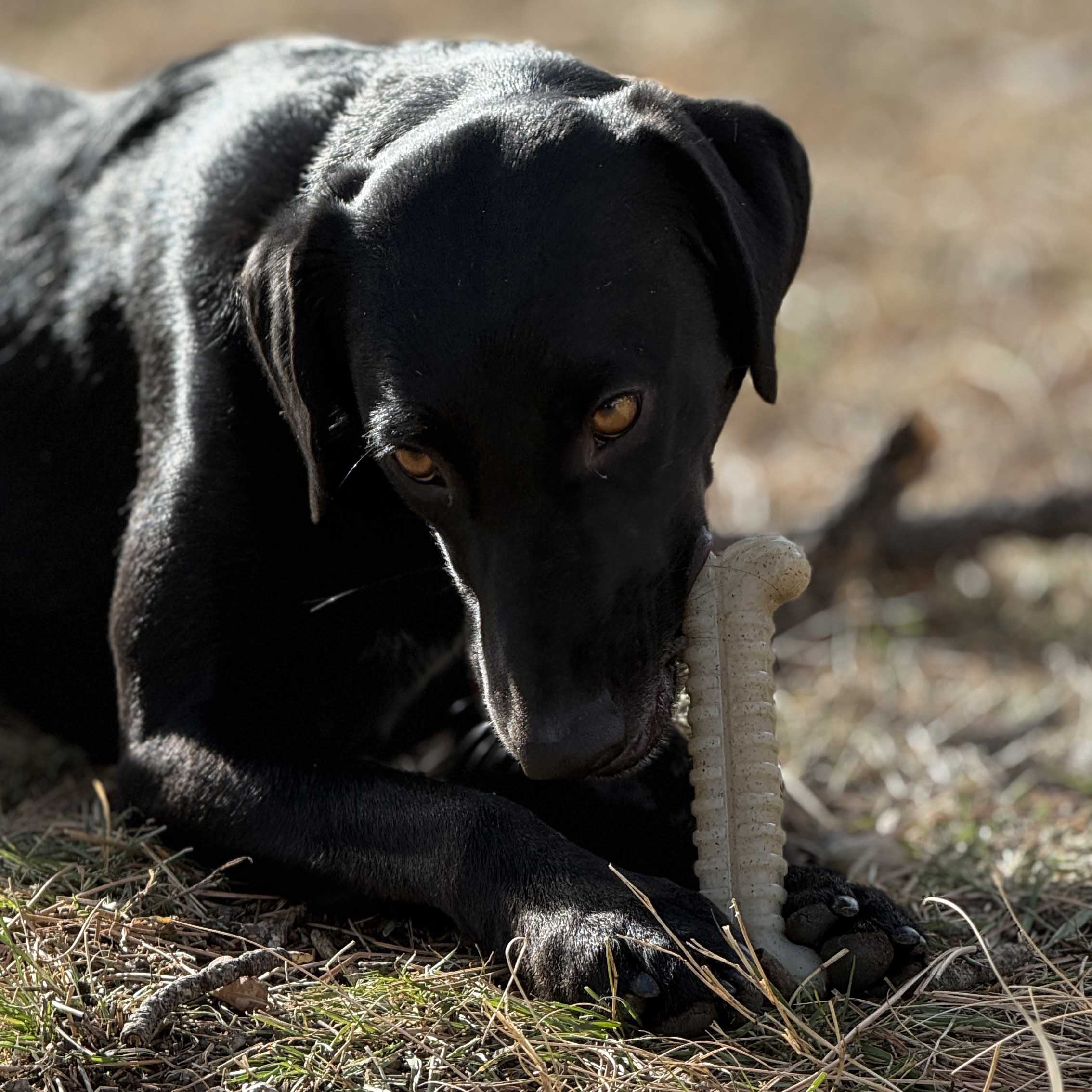Tough Bone Nylon Chew Bone | Ultra-Durable Dog Toy for Aggressive Chewers | SodaPup