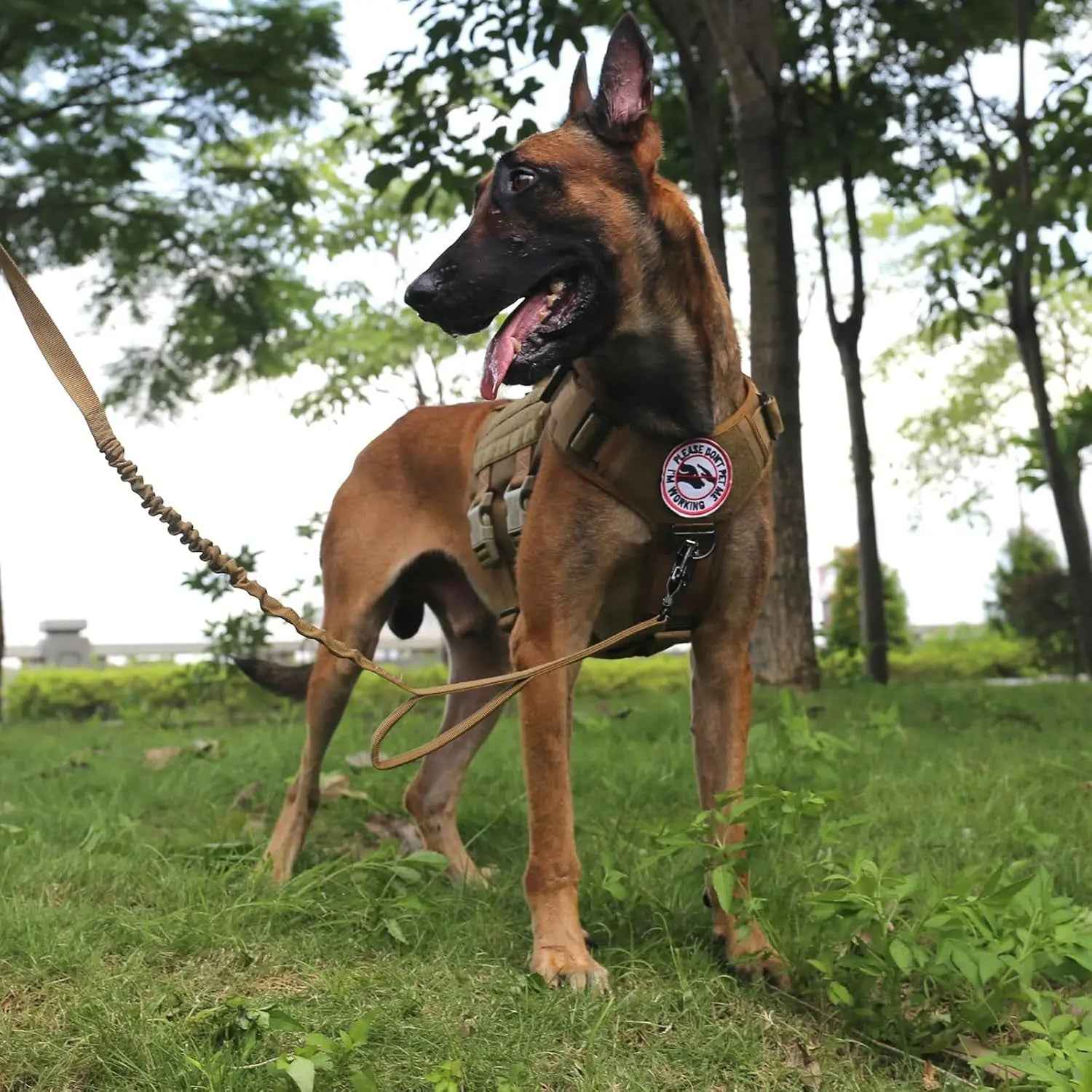 Tactical Dog Harness with 6-Buckle Fit & 3/4 Coverage – No-Pull MOLLE Vest