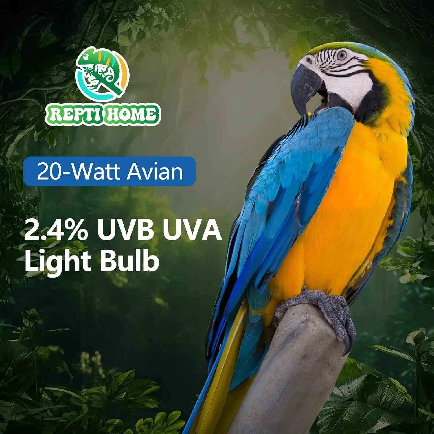 20W Full-Spectrum UVA UVB Bird Light Bulb – Compact Lamp
