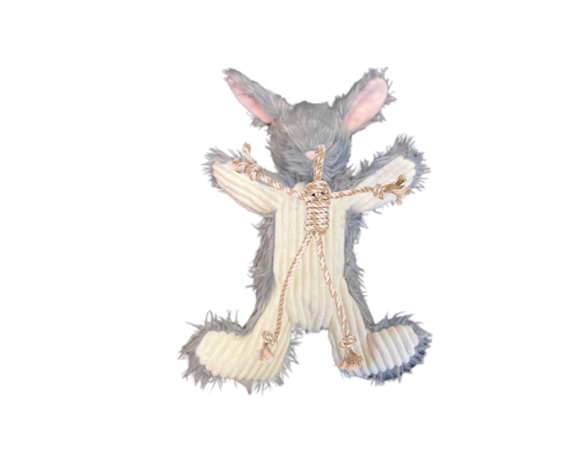 Birch Bunny X-Brace® Plush Dog Toy