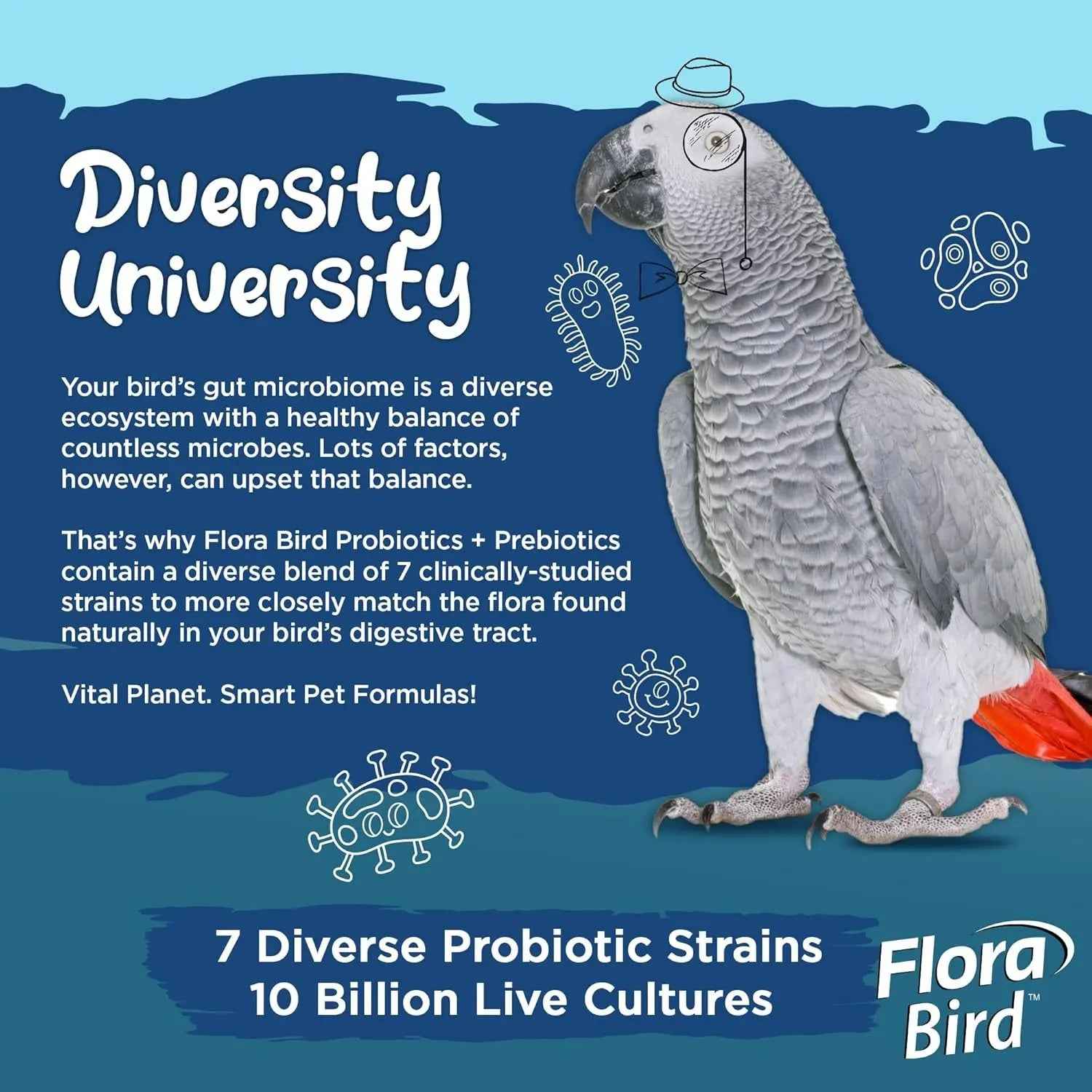 Vital Planet Bird Probiotic Powder 10 Billion CFU, 7 Strains