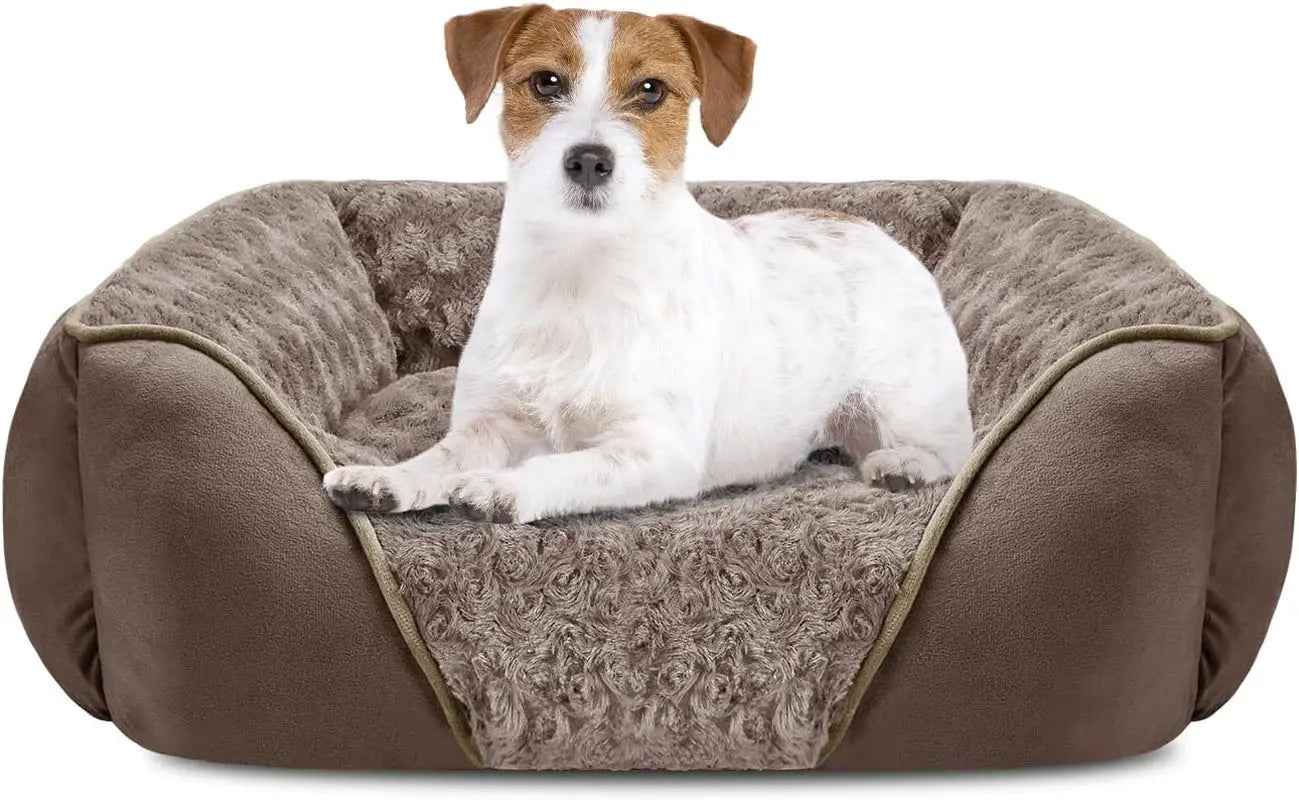 Washable Orthopedic Dog Bed – Calming Sofa for Small to Large Dogs