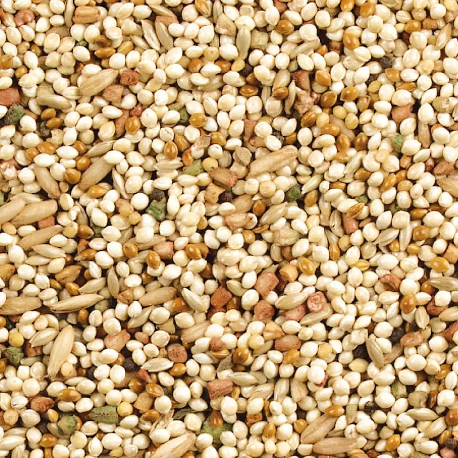 Wild Harvest Daily Blend Bird Food for Parakeet, Canary & Finch