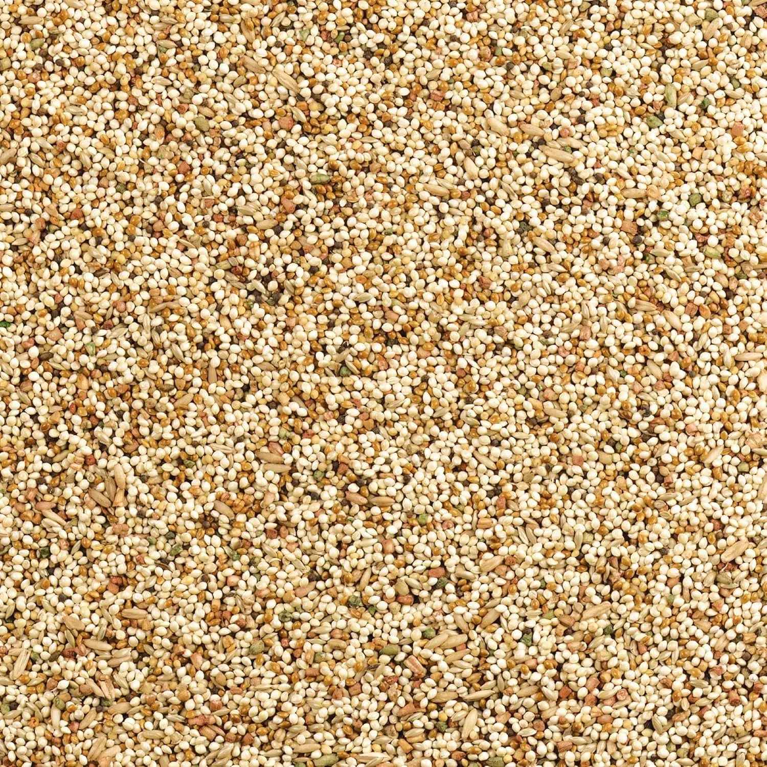 Wild Harvest Daily Blend Bird Food for Parakeet, Canary & Finch