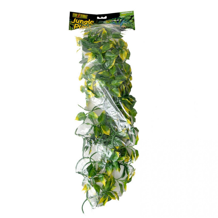 Exo Terra Plastic Terrarium Plant, Large, Amapallo