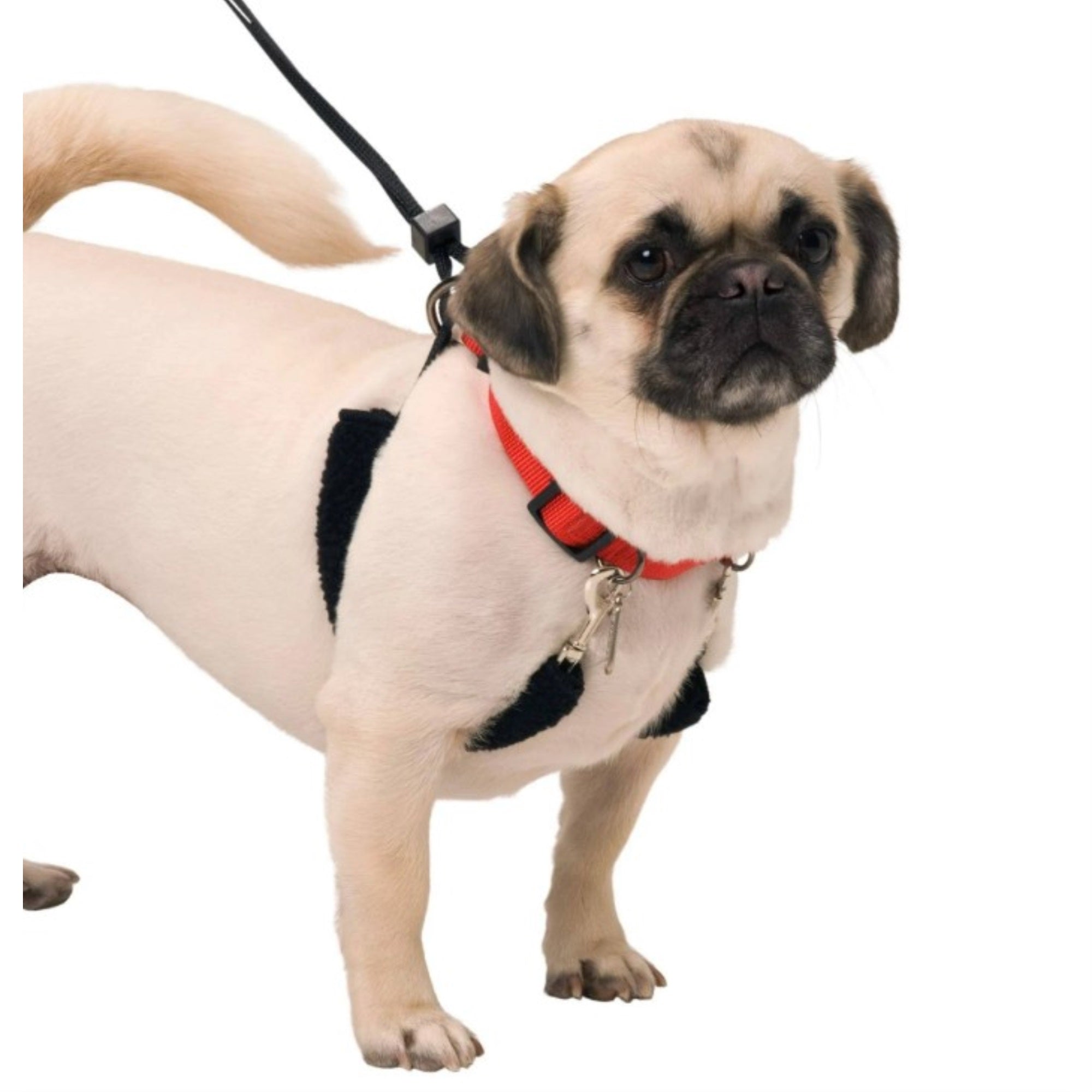Sporn Original Training Halter, No Pull Harness Medium Size Dog With Red Padded Sherpa Sleeves, Breathable No Pull Dog Harness Medium Sized Dog, Provides To All Medium Sized Breeds