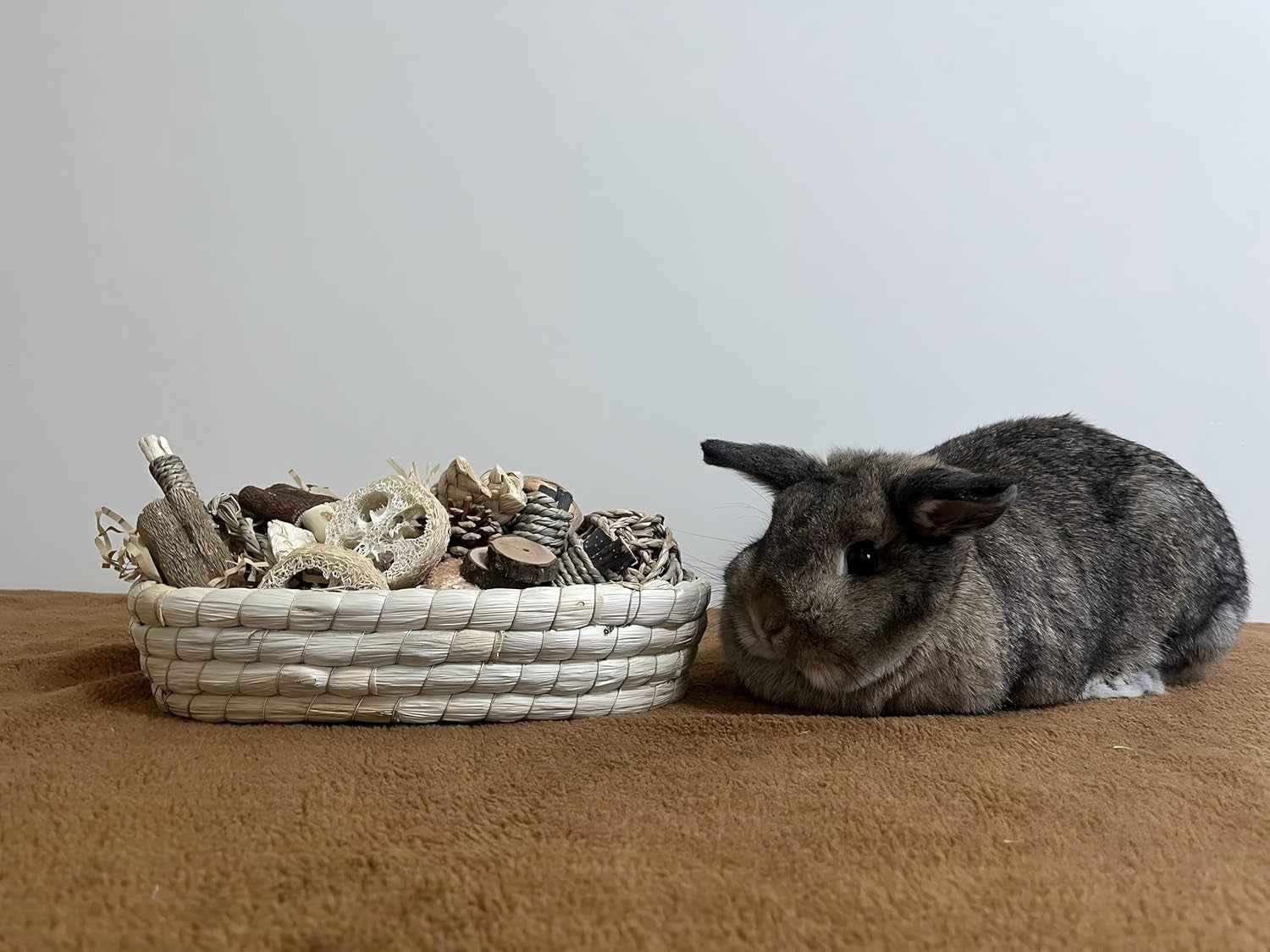 31PCS Rabbit Chew Toys Set for Dental Care & Enrichment