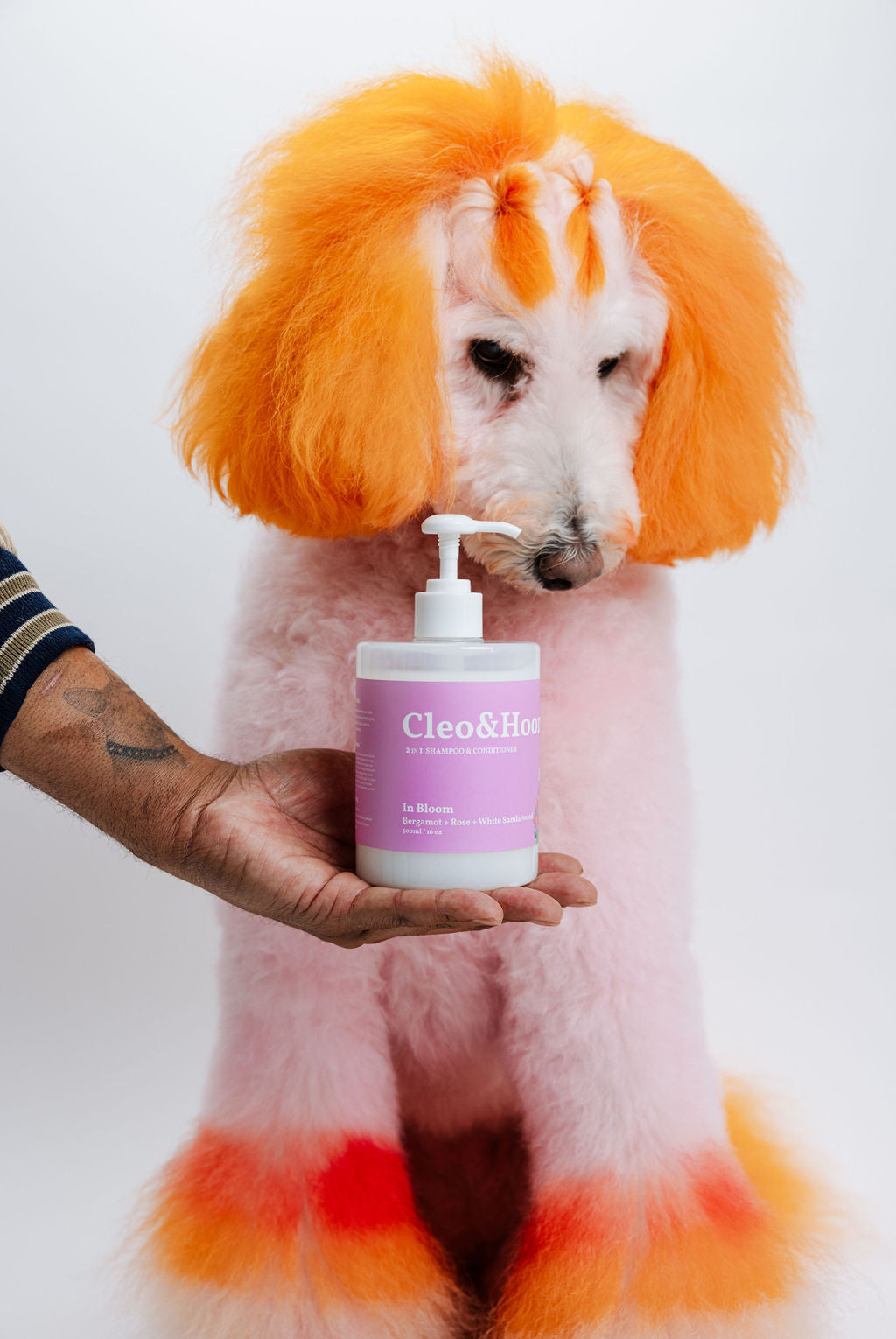 In Bloom (Dog Shampoo & Conditioner Duo)