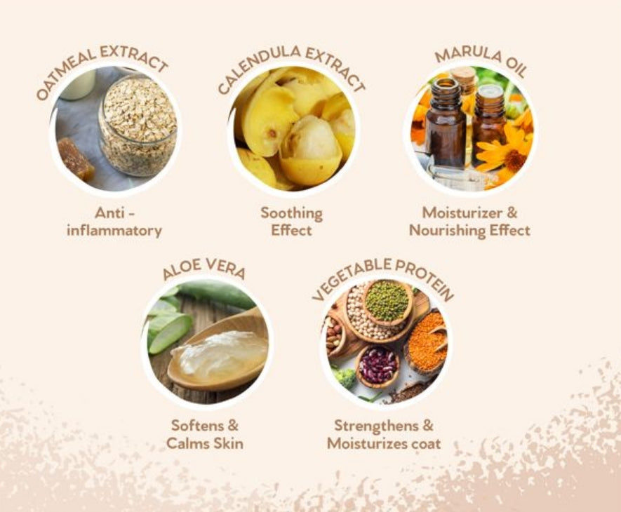 Pet Head Sensitive Soul Dog Shampoo | Coconut Scent | Shampoo For Dogs With Sensitive Skin | Moisturizing | Professional Grooming | Vegan | Gentle Formula For Puppies | Made In Usa | 16Fl Oz.