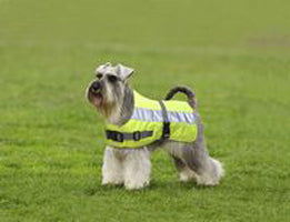 Fancy Feline Flectalon Dog Jacket Hi-Viz 18 In.
