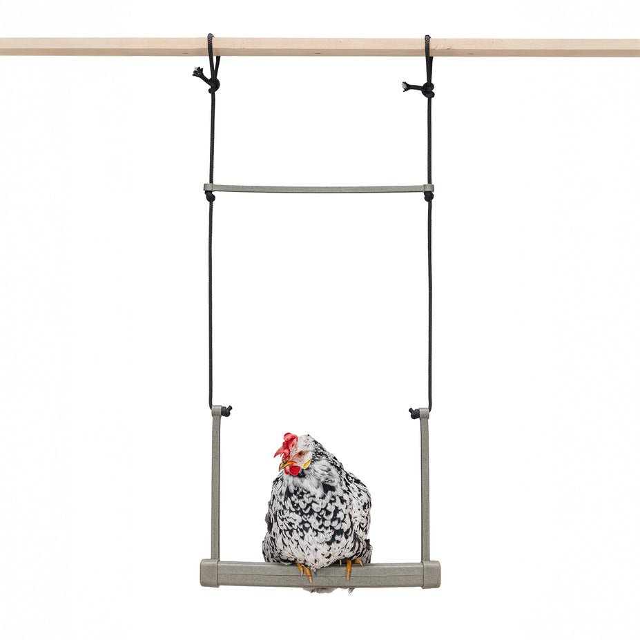 Backyard Chicken Swing  Durable, Recycled Material for Flock Activity