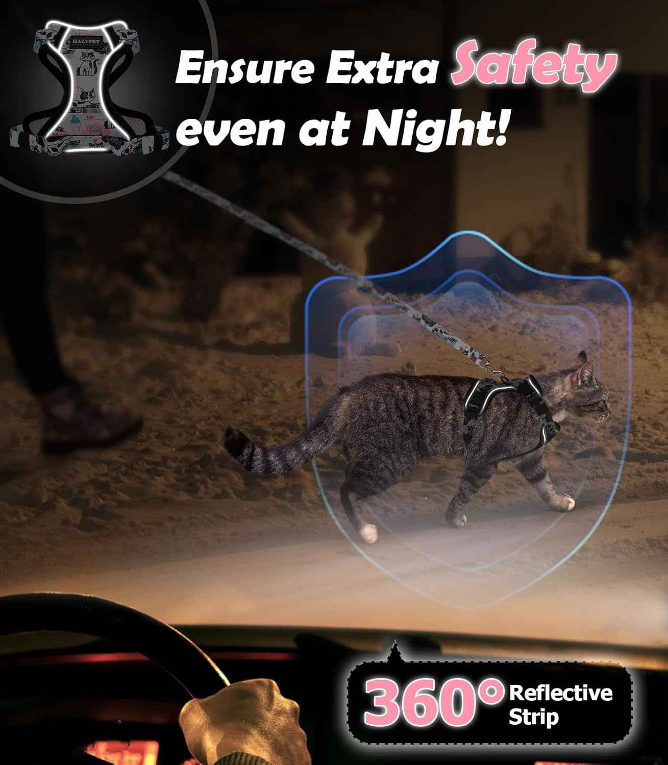 Escape-Proof Cat Harness & Leash Set with 59-Inch Leash, XS–M