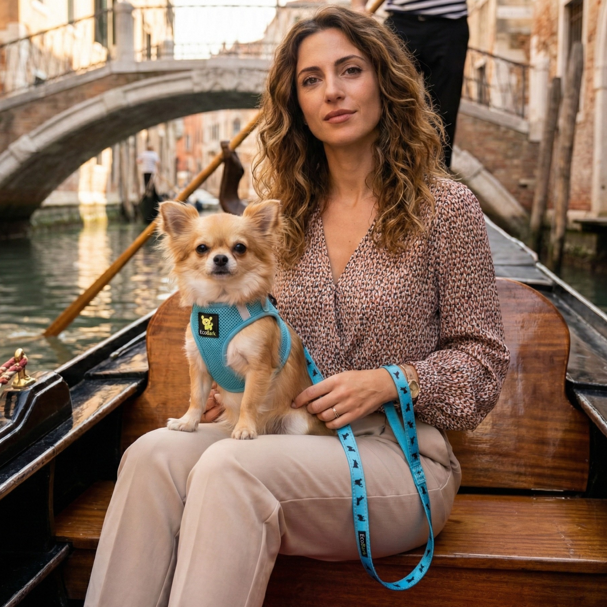 EcoBark Sky Blue Dog Leash- Padded Comfort Grip Padded Leash Dog Pattern - 4 Foot, 5 Foot, 6 Foot Leash for Small and Medium Dogs