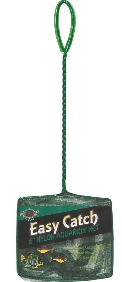 Blue Ribbon Pet Products Ablec4C Easy Catch Fish Net, 4-Inch, Coarse Green