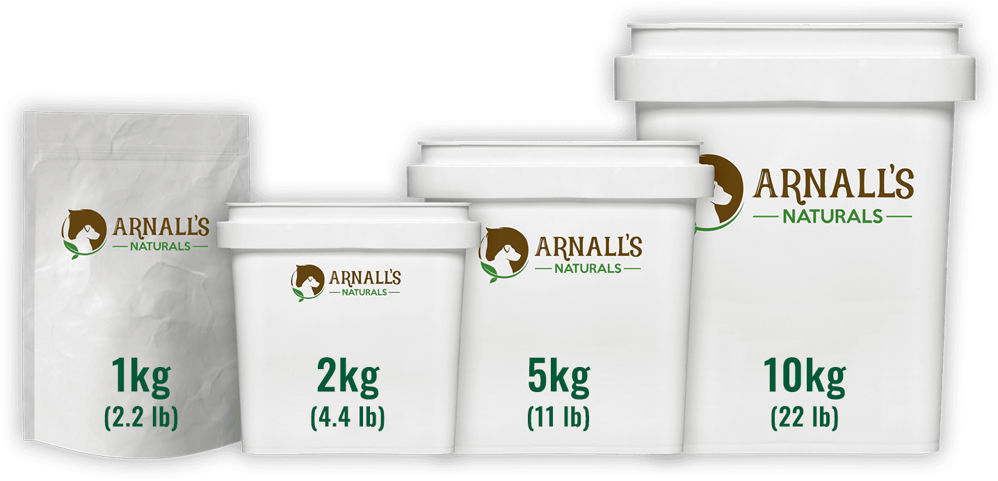 Mare Care: Wellness & Maintenance For Mares