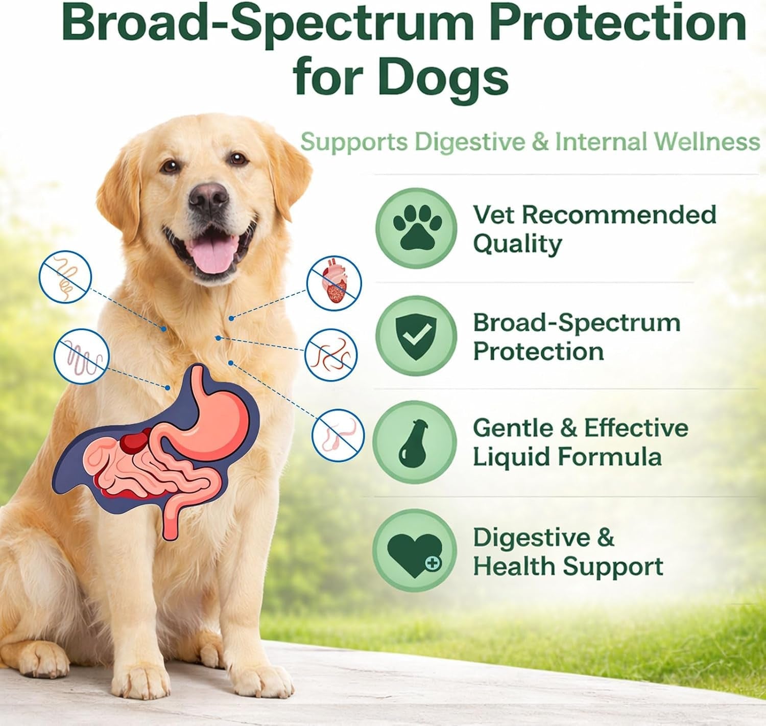 Liquid Dog Dewormer Hookworms Roundworms Lungworms Pinworms 120ml