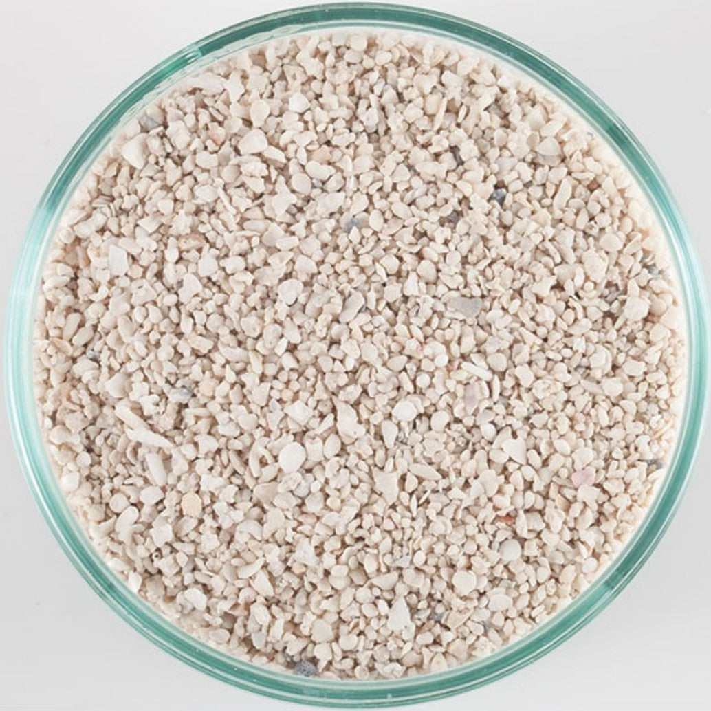 Carib Sea Acs00020 Aragonite Reef Sand For Aquarium, 15-Pound