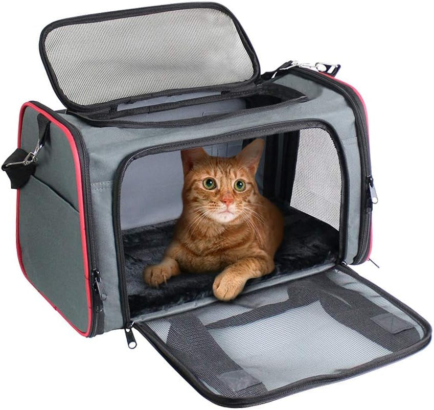 Soft-Sided Pet Carrier for Cats & Small Dogs, 22 lb, 19-Inch