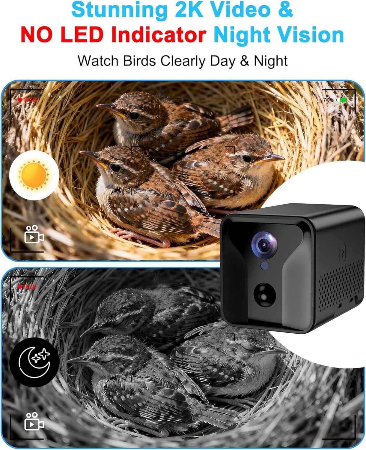 Smart Bird House Camera – Solar WiFi, 2K HD, Motion Alerts & Time-Lapse