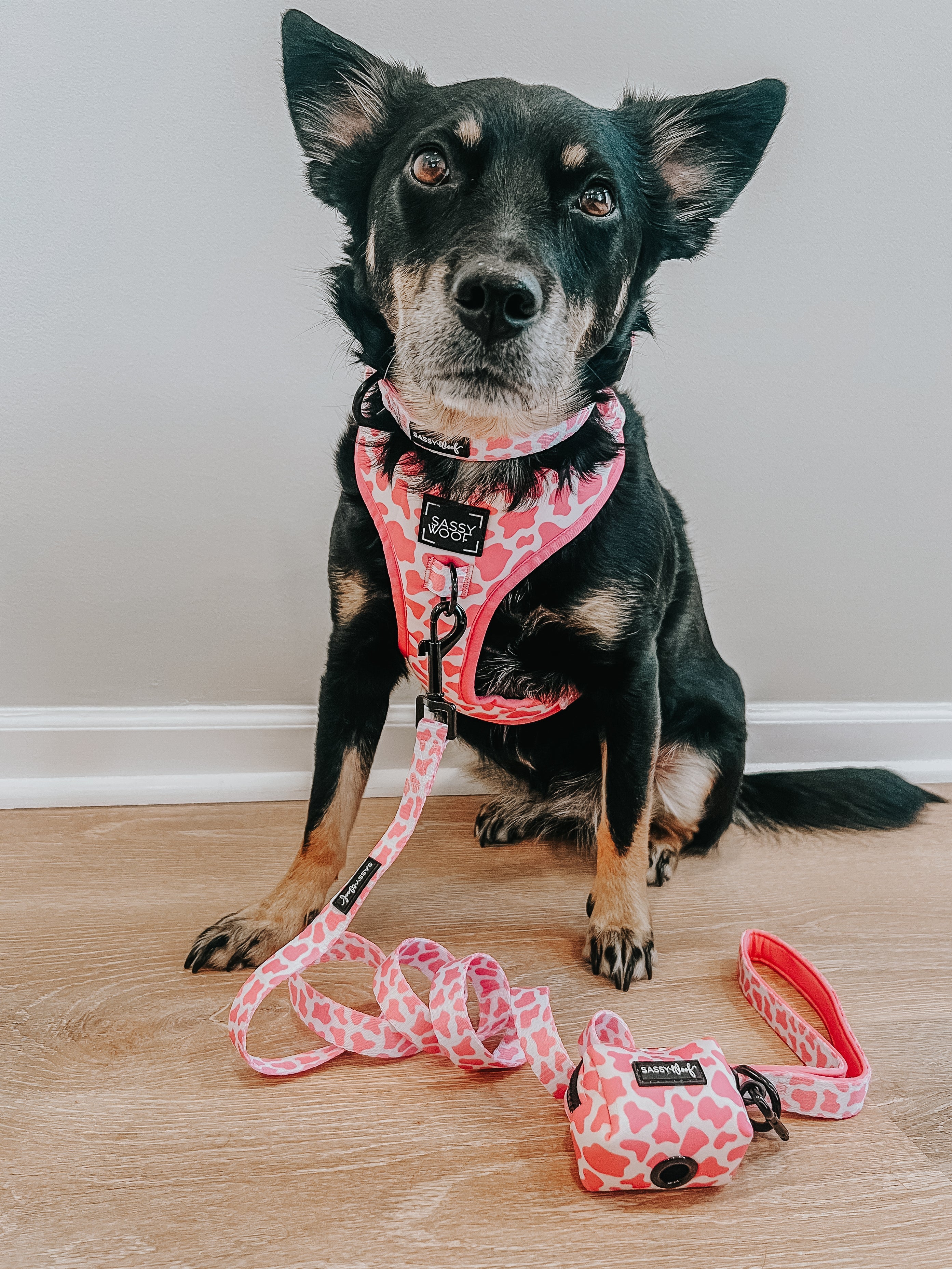 Dog Leash - Strawberry Milk