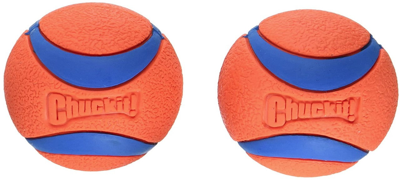Chuckit 17001 2.5' Ultra Ball Assorted Colors