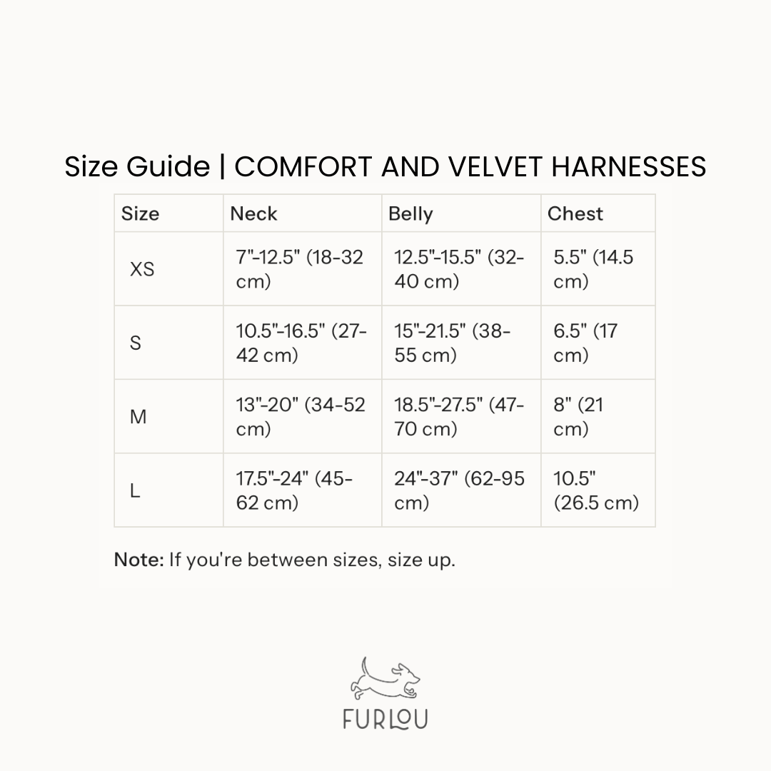 Black - Comfort Dog Harness