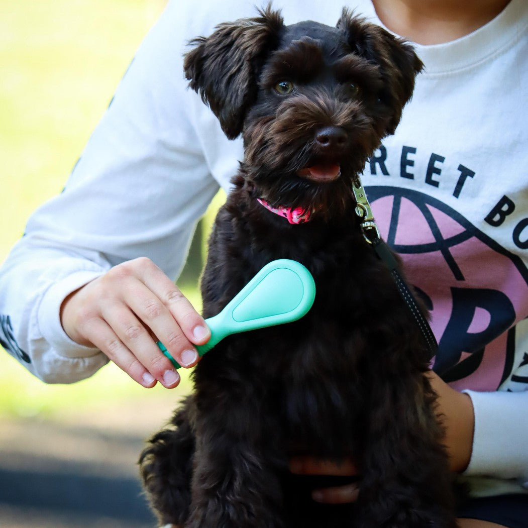 Li'L Pals® Bristle Brush