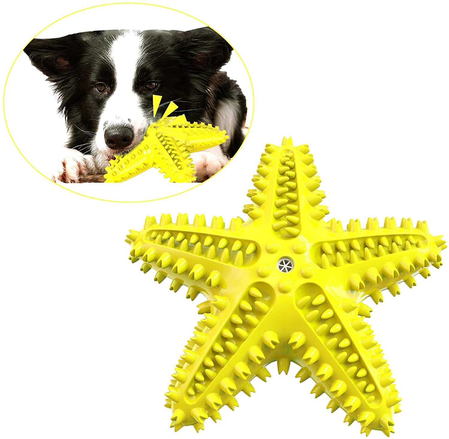 Dog Chew Toys, Natural Rubber Starfish-Shaped Dog Toys, Interactive Treats, Squeaky Dog Toothbrush Cleaner Teething Toys, Outdoo