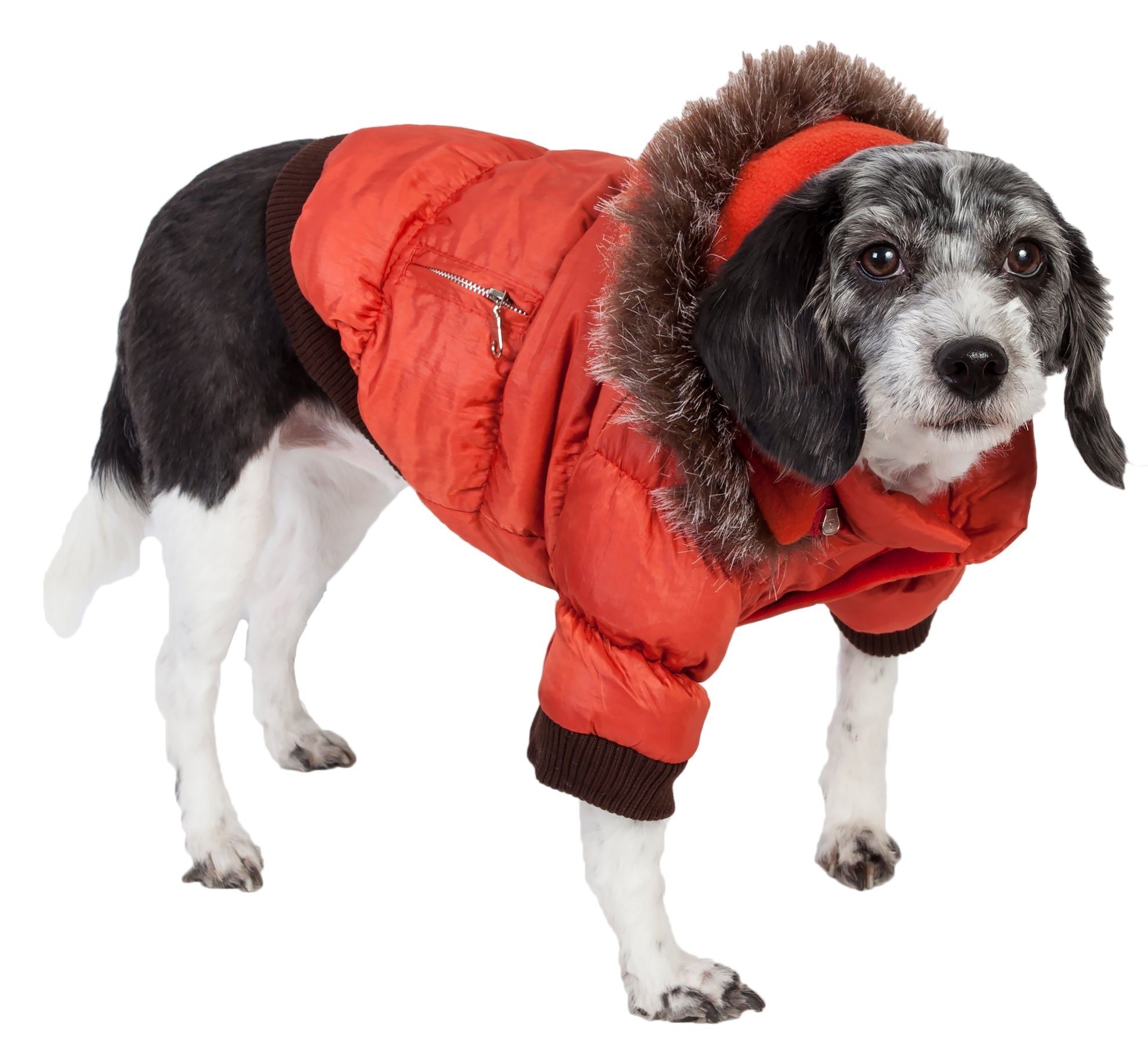 Pet Life Ski Parka, Orange, Medium