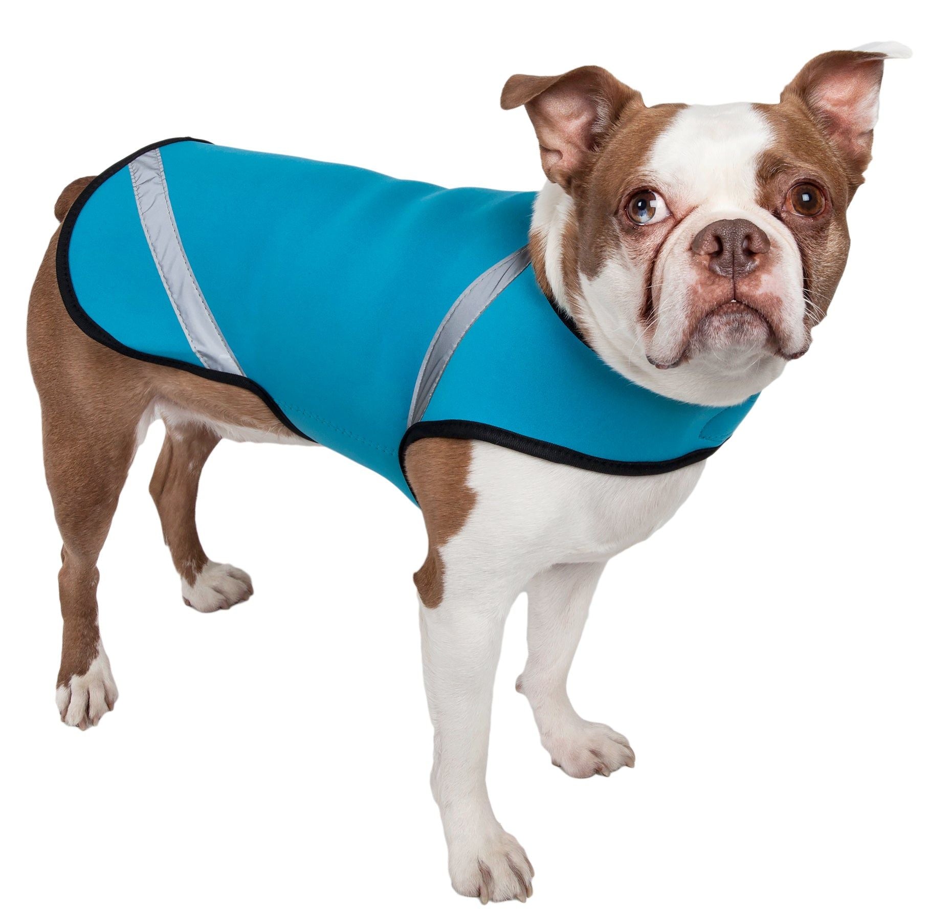 Extreme Neoprene Multi-Purpose Protective Shell Dog Coat(D0102H7LBEY.)