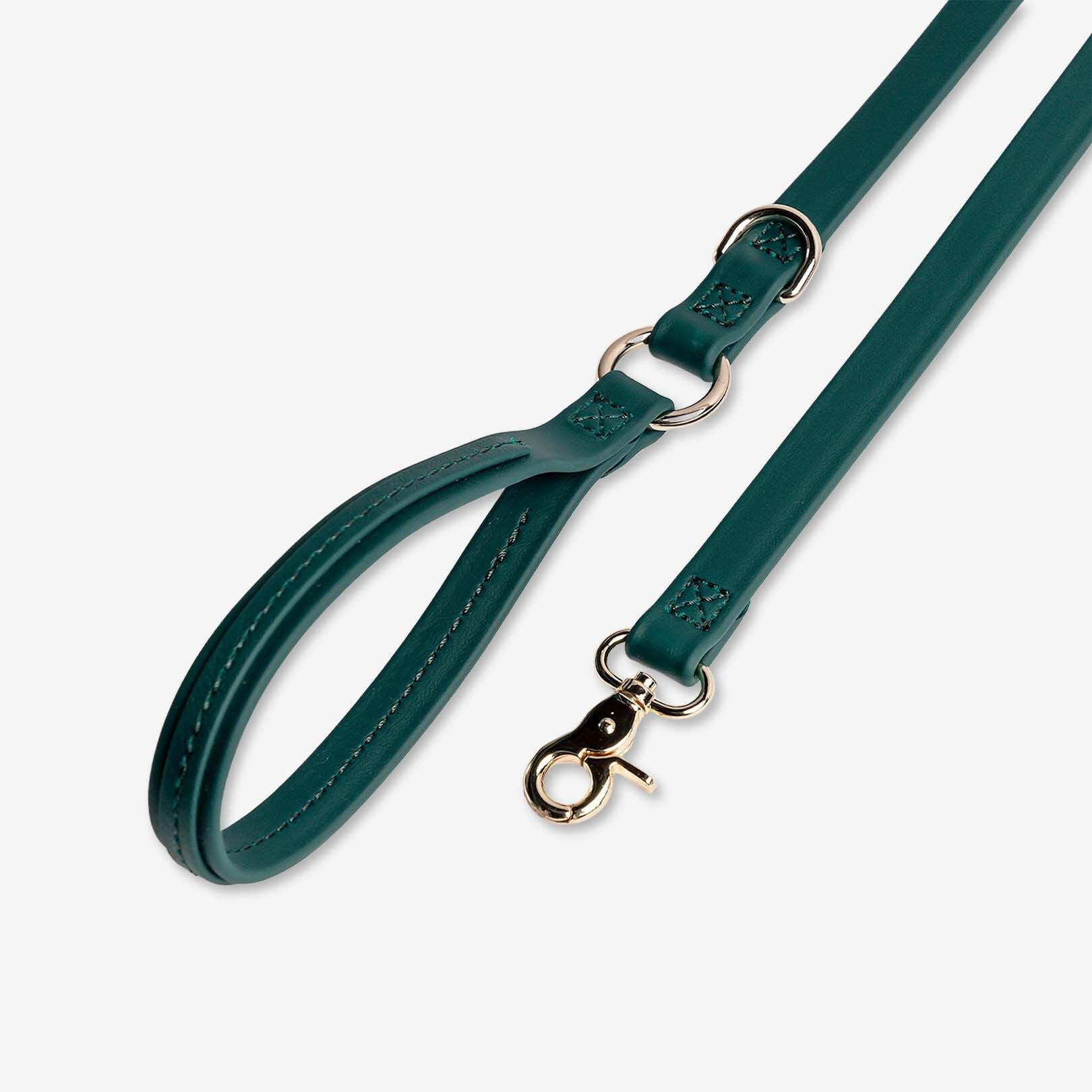 Jump Around - Luxury Waterproof Durable Dog Leash(D0102H7SX02)
