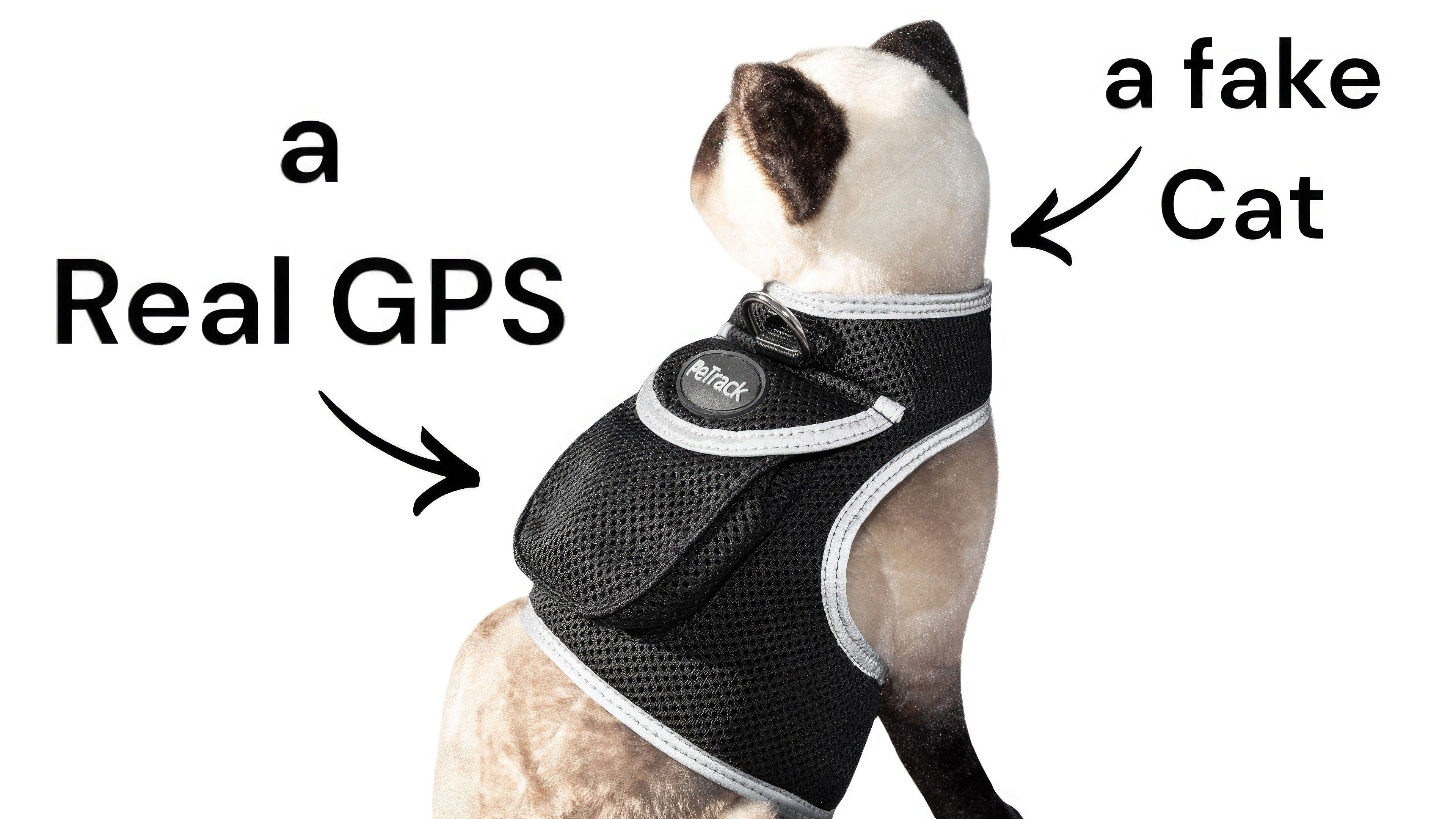 Reliable Portable Pocket GPS Location Finder Realtime Dog Tracking Tag Size:S