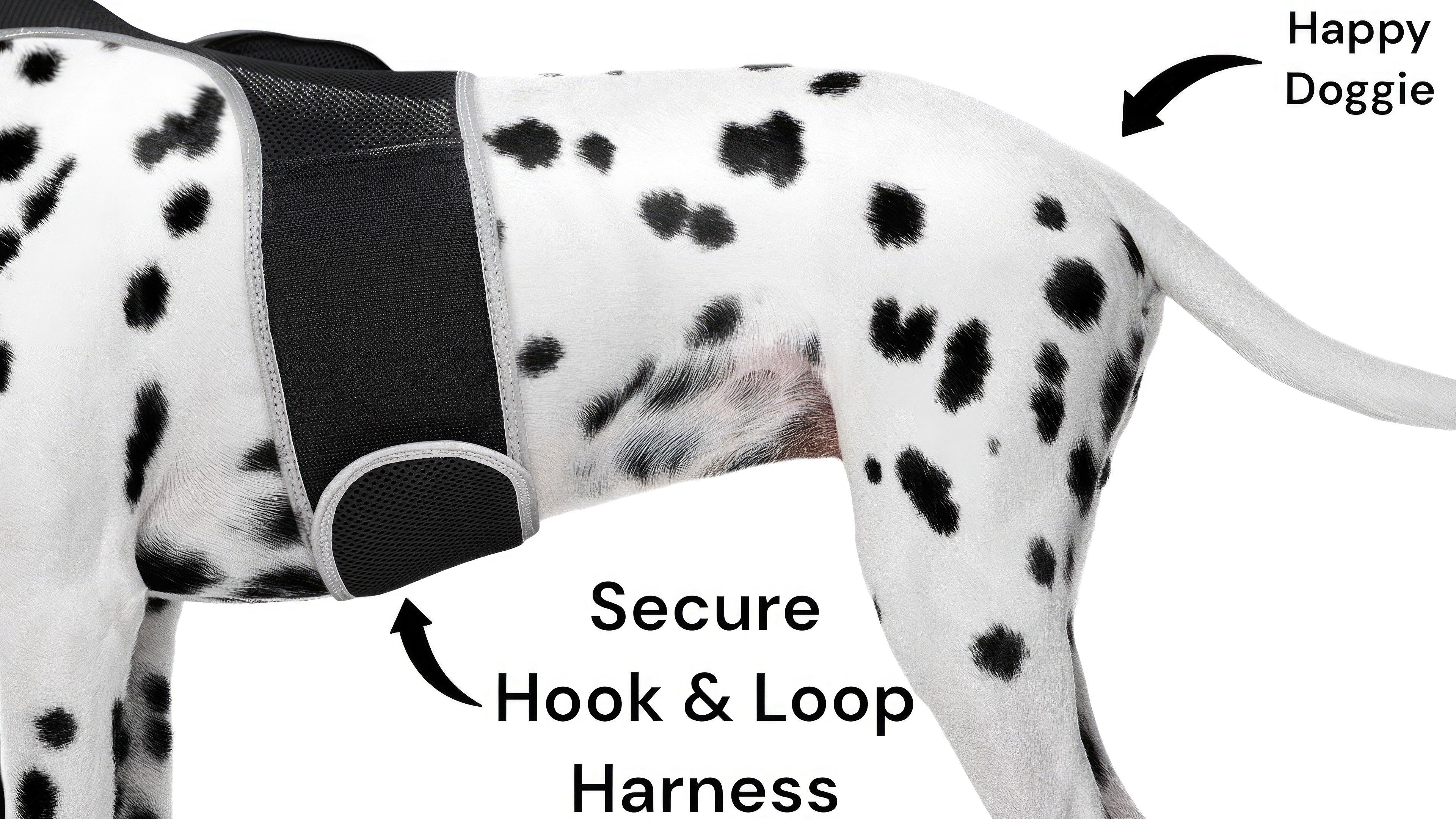 No Hassle Tracking Your Dog w/ Mini Realtime GPRS GSM Pet GPS Tracker Size:S
