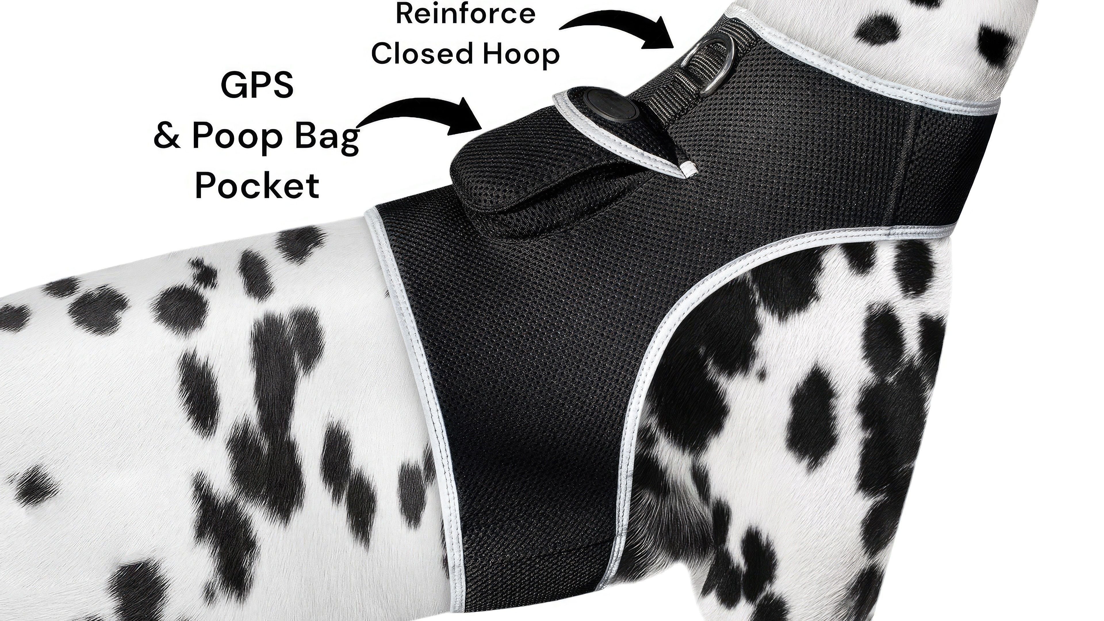 Realtime GPS Pet Transmitter Long Range Tracking System Collar Tracker Size:M
