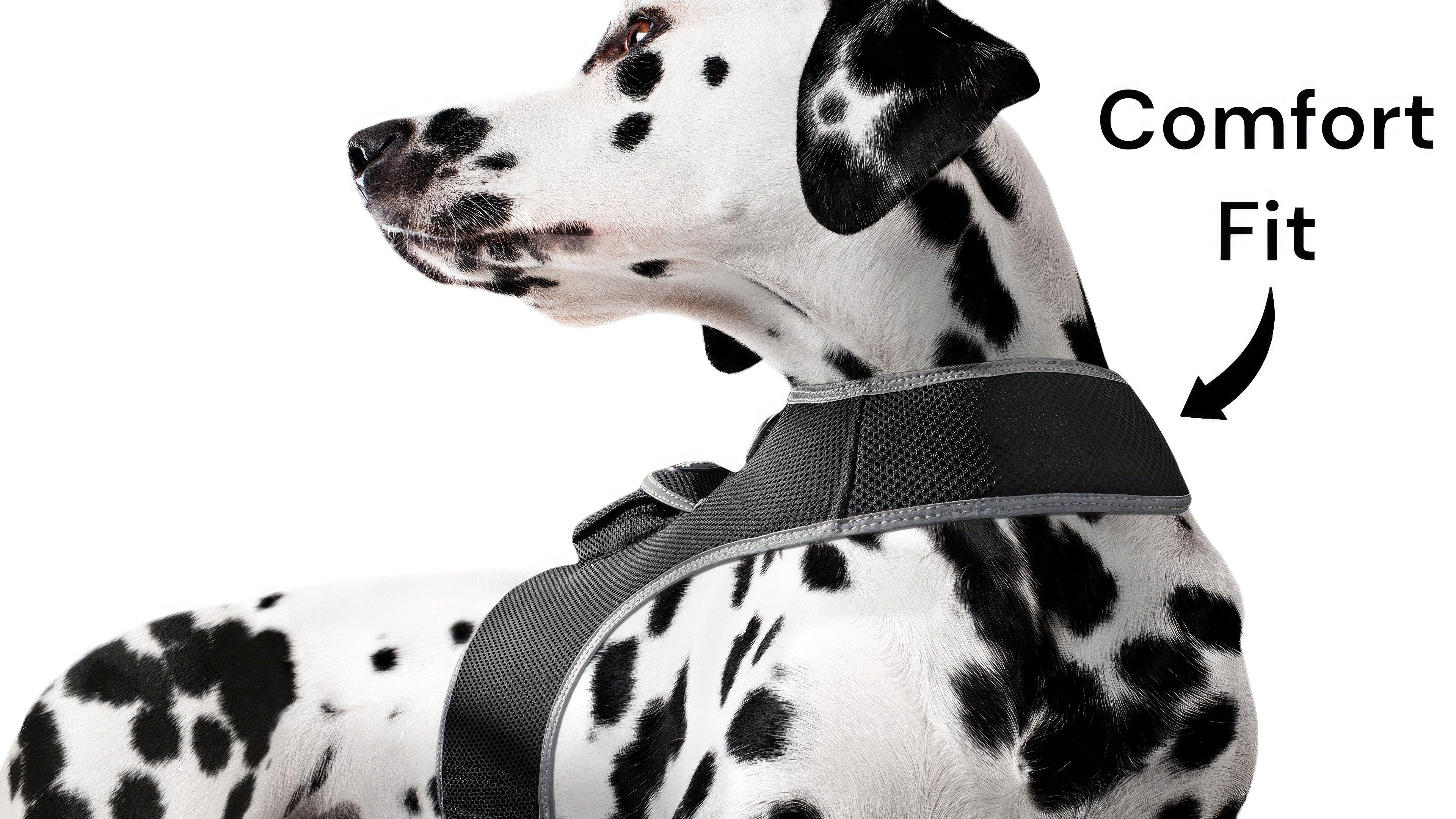 Realtime Pocket GSM GPS GPRS Pet Tracking Collar Mini Location Finder Size:M