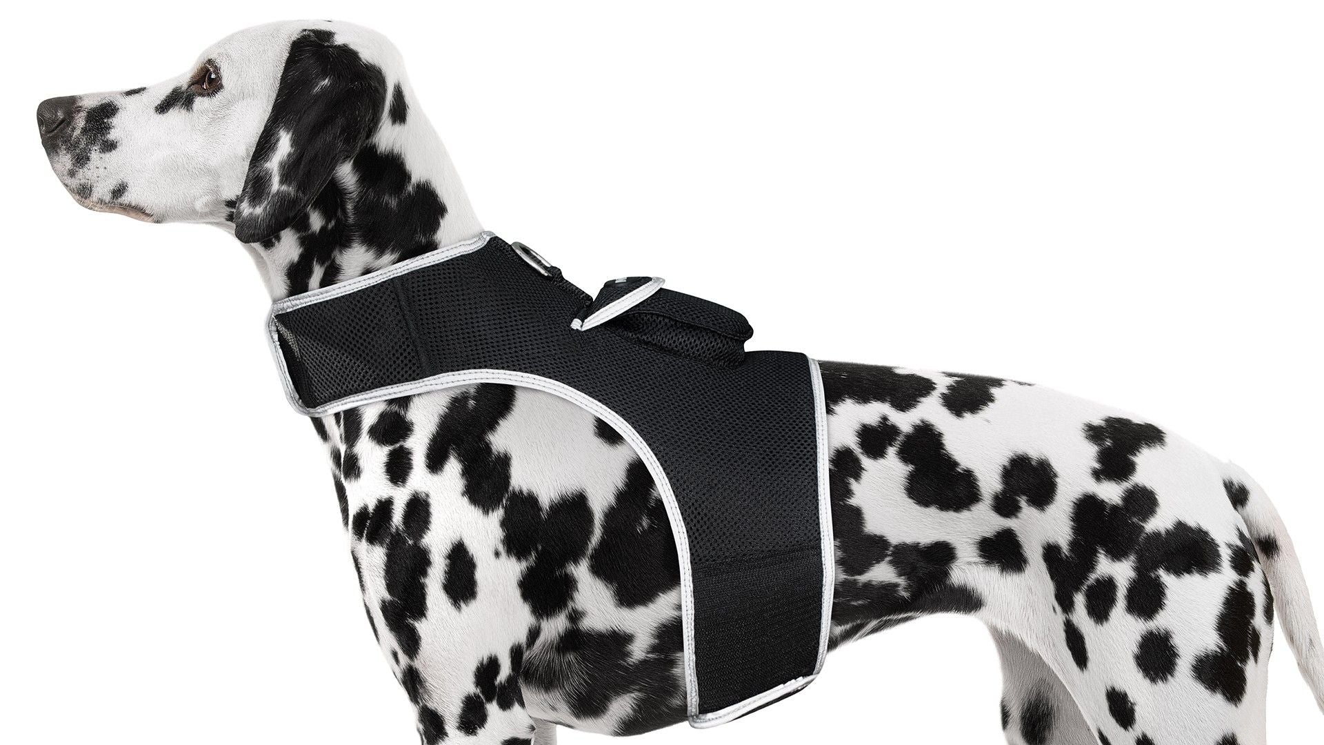 Portable Collar Mount GSM GPS Tag Pet Tracker Mini Surveillance Device Size:M