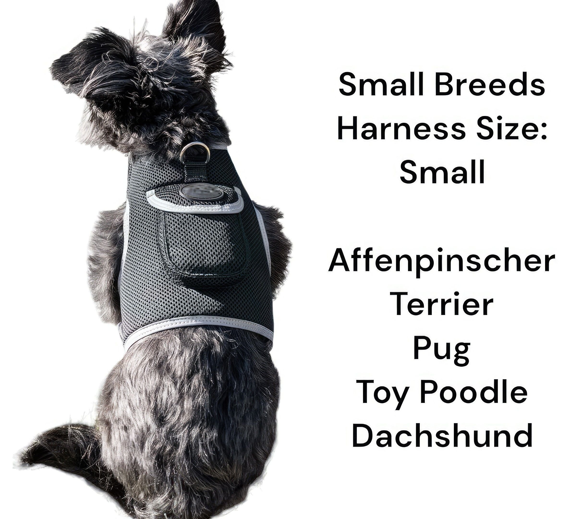 Realtime GSM GPS Dog/Cat Pet Tracking System Waterproof Collar Tracker Size:M