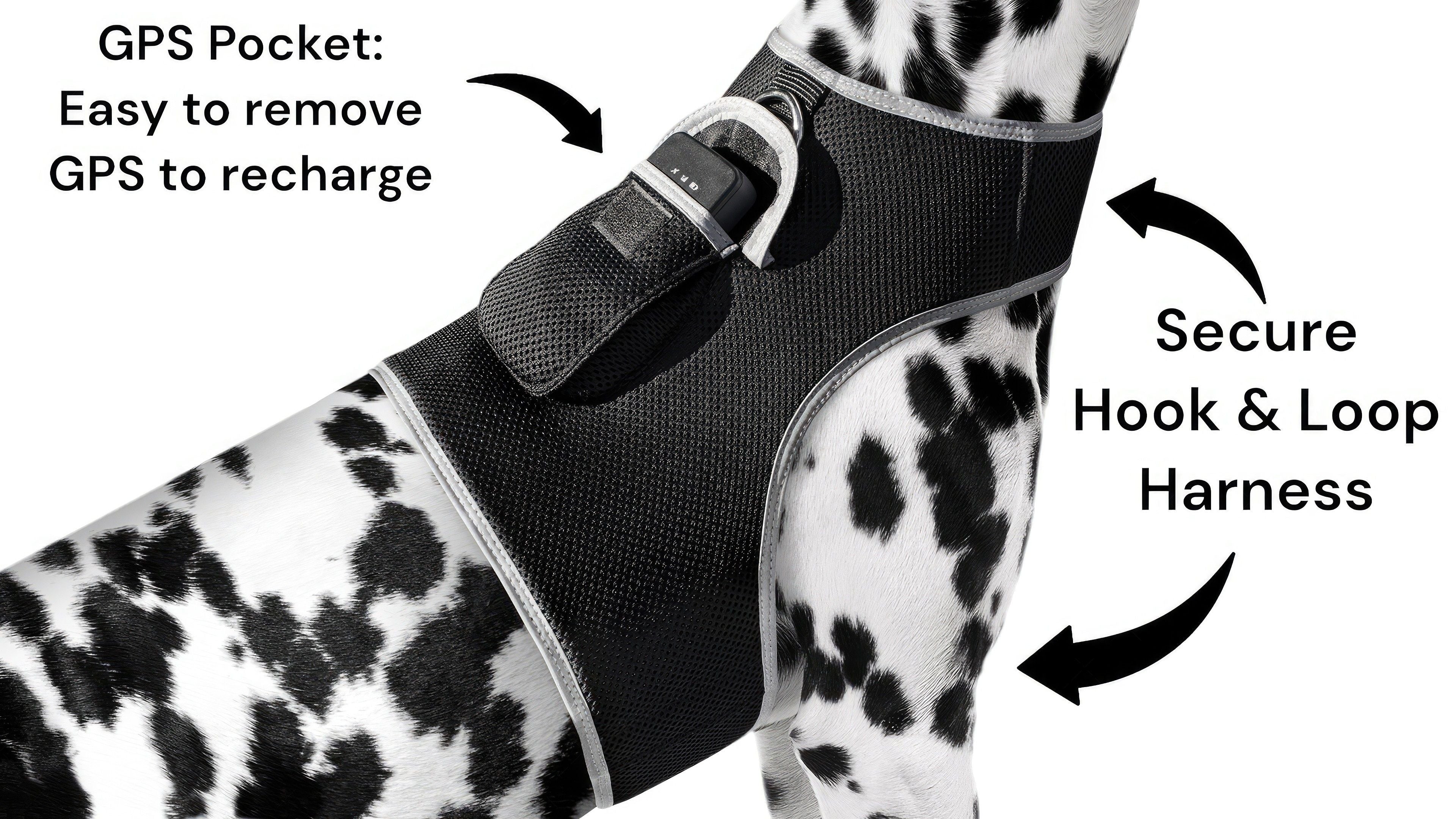 Realtime Cat GPS Tracking Collar Waterproof Advanced Pet Locator NEW Size:M
