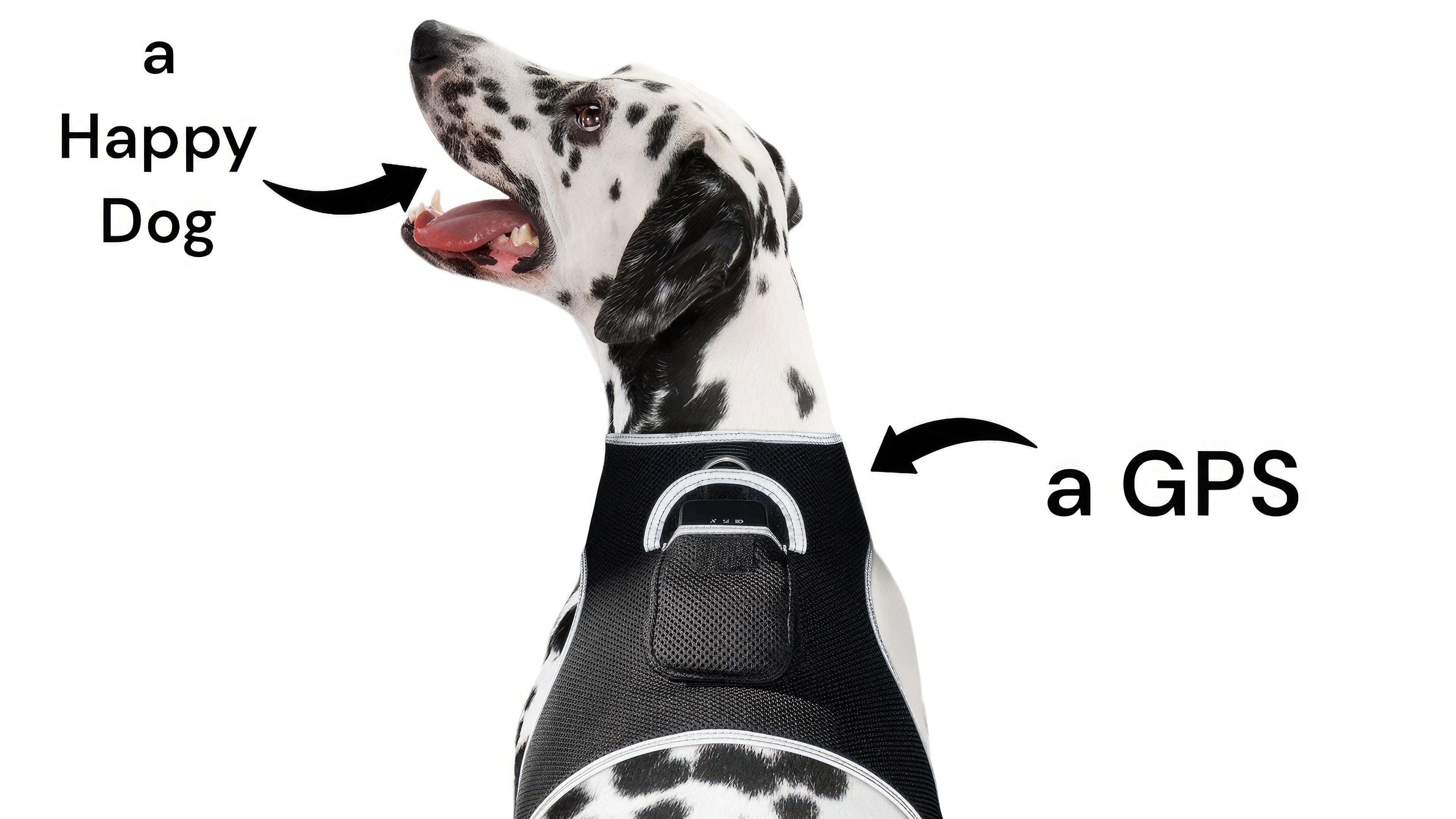 GPS Dog Collar Pet Locating Device GSM GPRS Realtime Tracking System Size:S