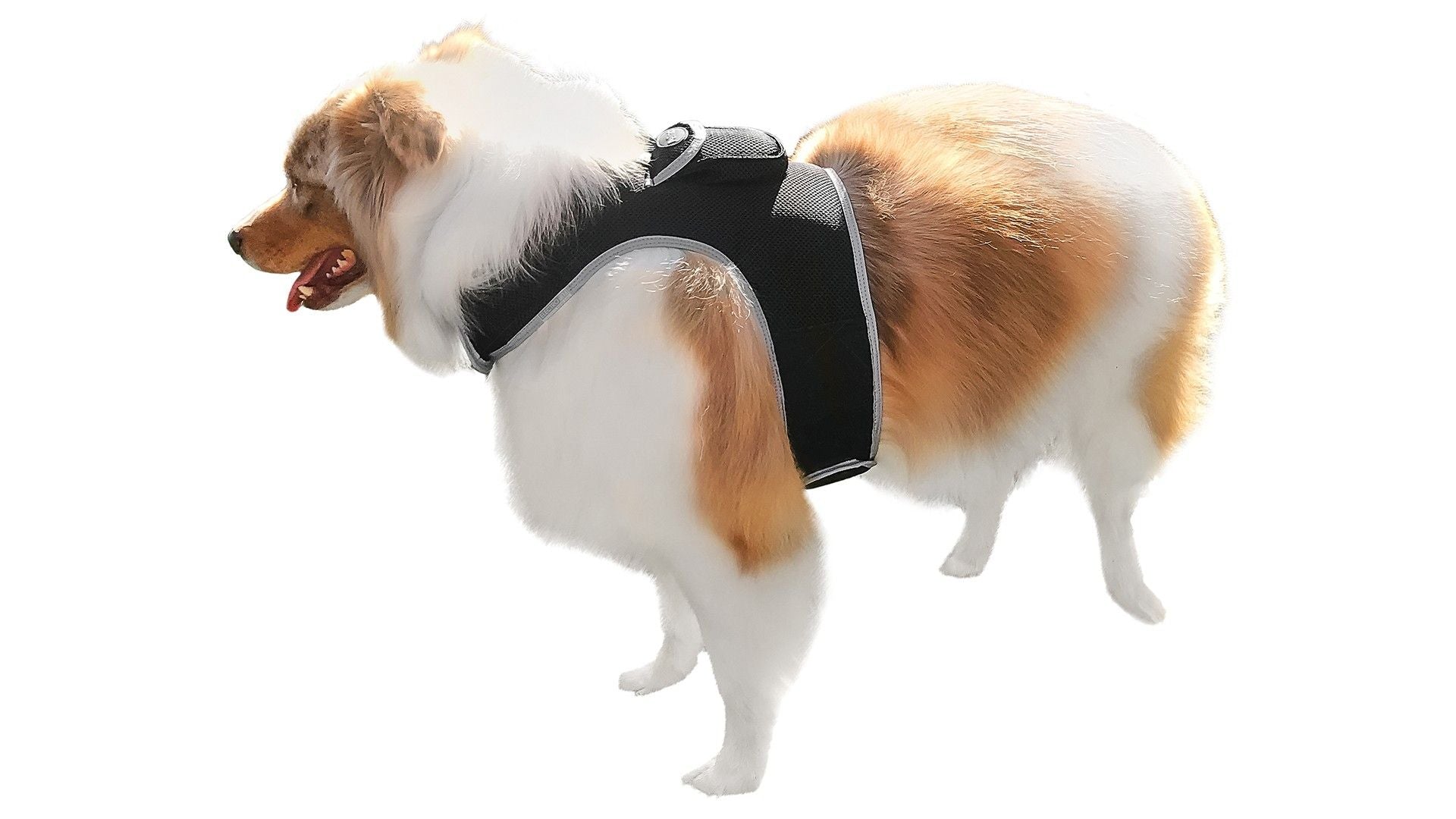 GSM GPS Rechargeable Tracking Device for Dog Realtime Location Finder Size:XL