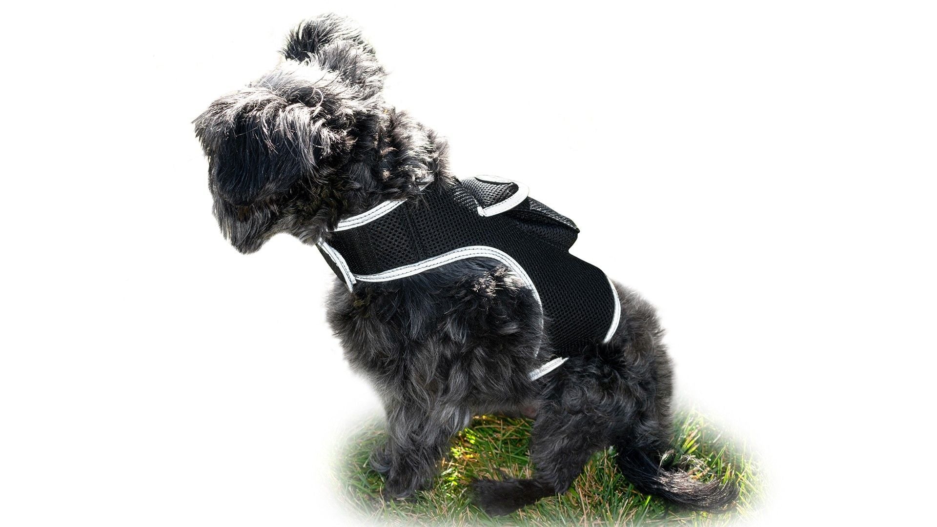 Portable Pet GPS Tracker Cat Mini Surveillance with Wireless Phone App Size:XL