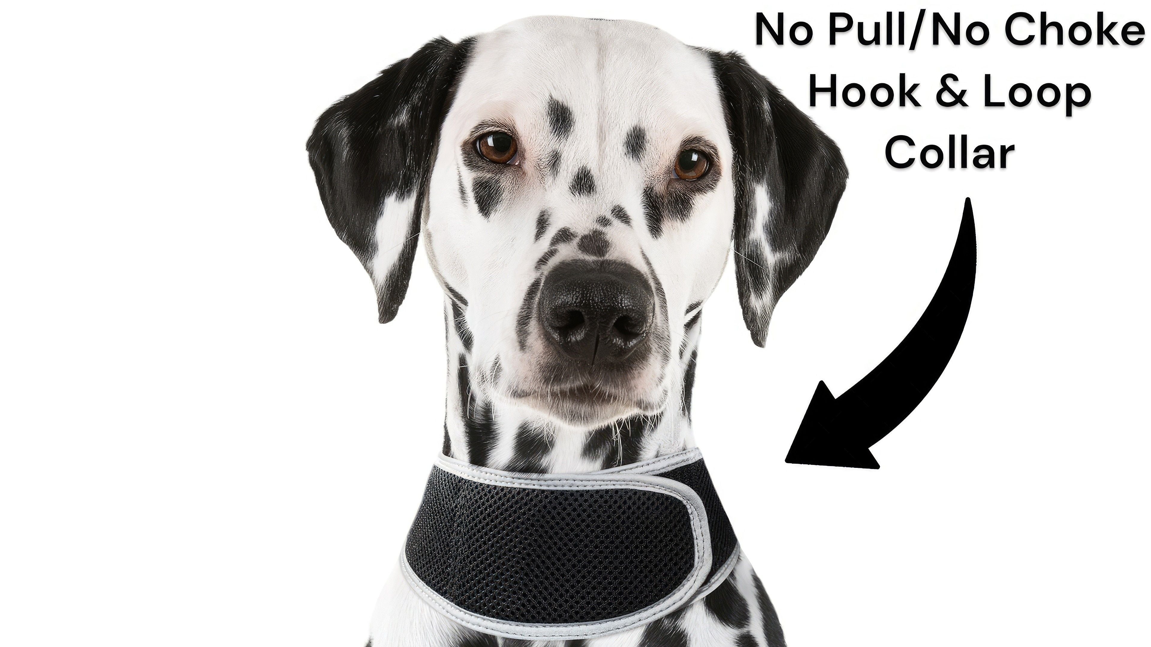 Waterproof Mini GPS Collar Realtime Tracker Wireless Pet Surveillance Size:M