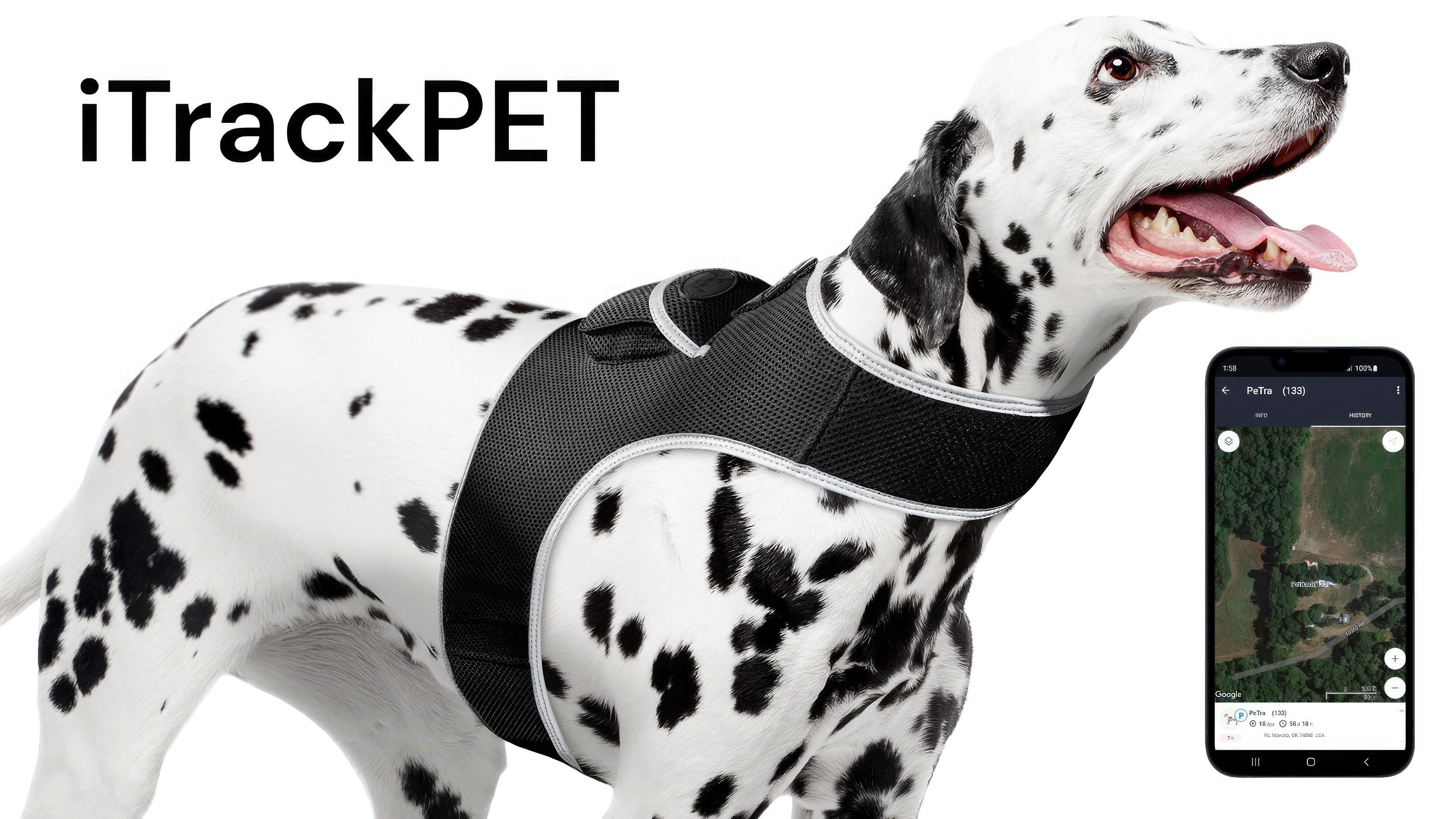 Waterproof GPRS GSM GPS Tracking Collars for Pet Locator Surveillance Size:M